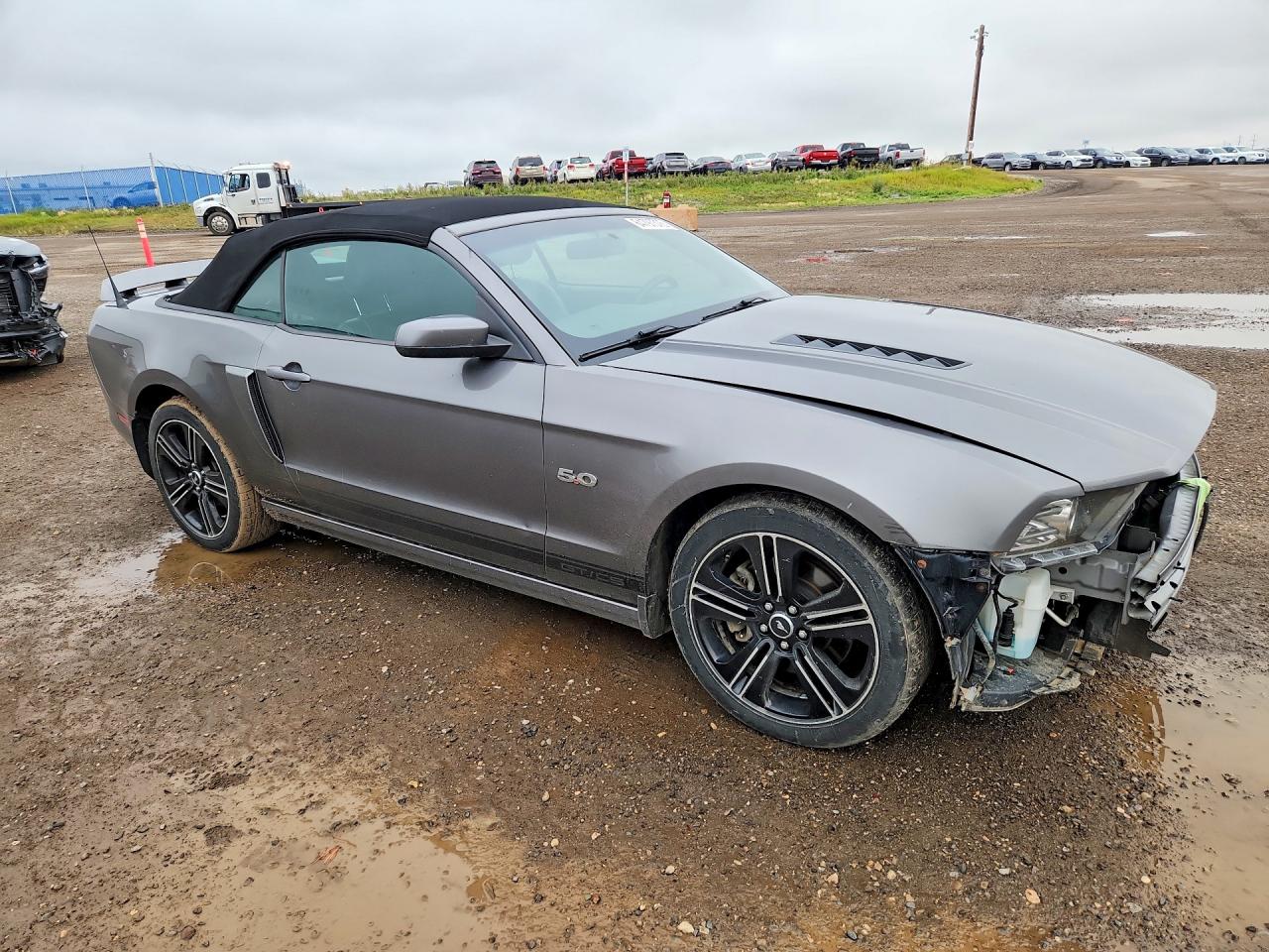 2014 Ford Mustang Gt Gray vin: 1ZVBP8FF8E5293121