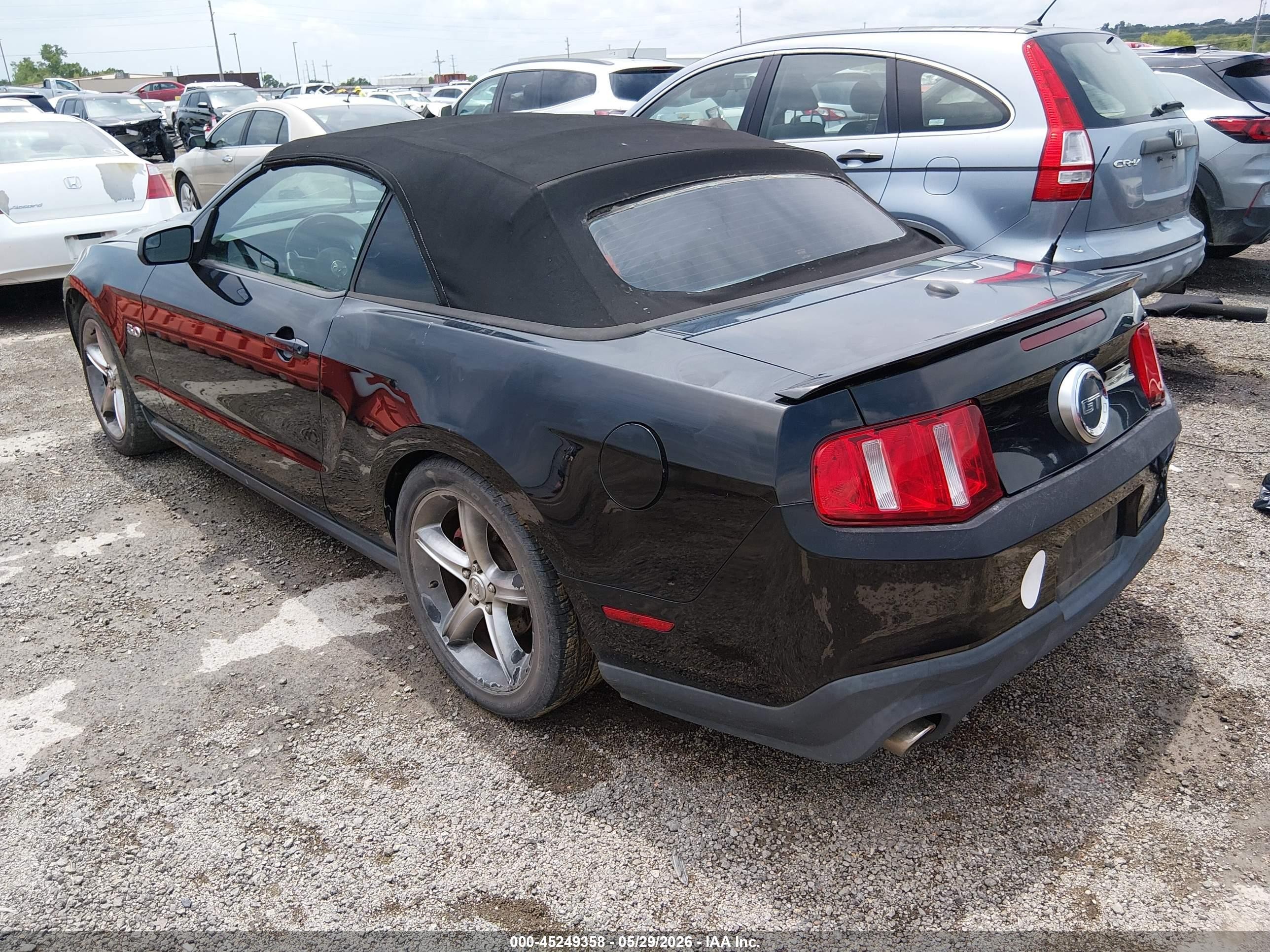 2011 Ford Mustang Gt Premium Black vin: 1ZVBP8FFXB5108644