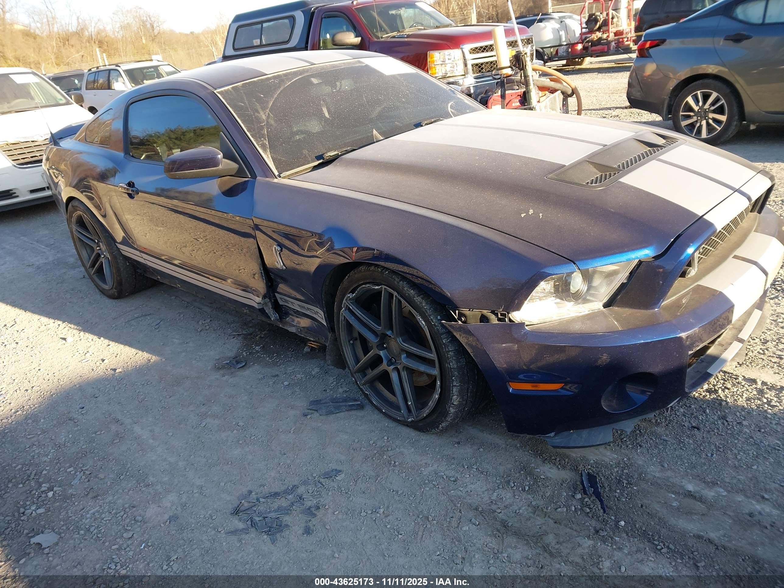 2010 Ford Shelby Gt500   Blue vin: 1ZVBP8JS7A5123282