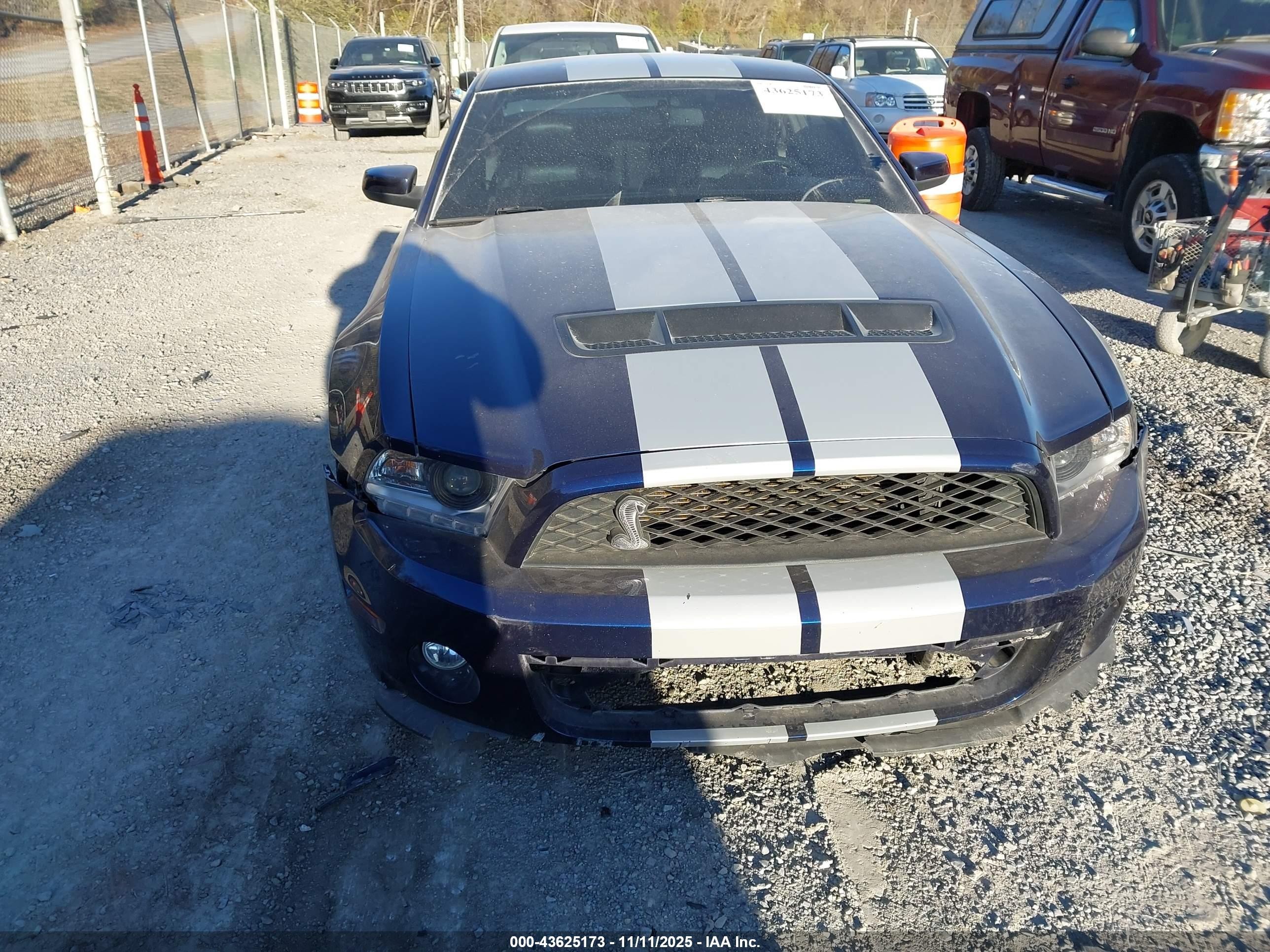 2010 Ford Shelby Gt500   Blue vin: 1ZVBP8JS7A5123282