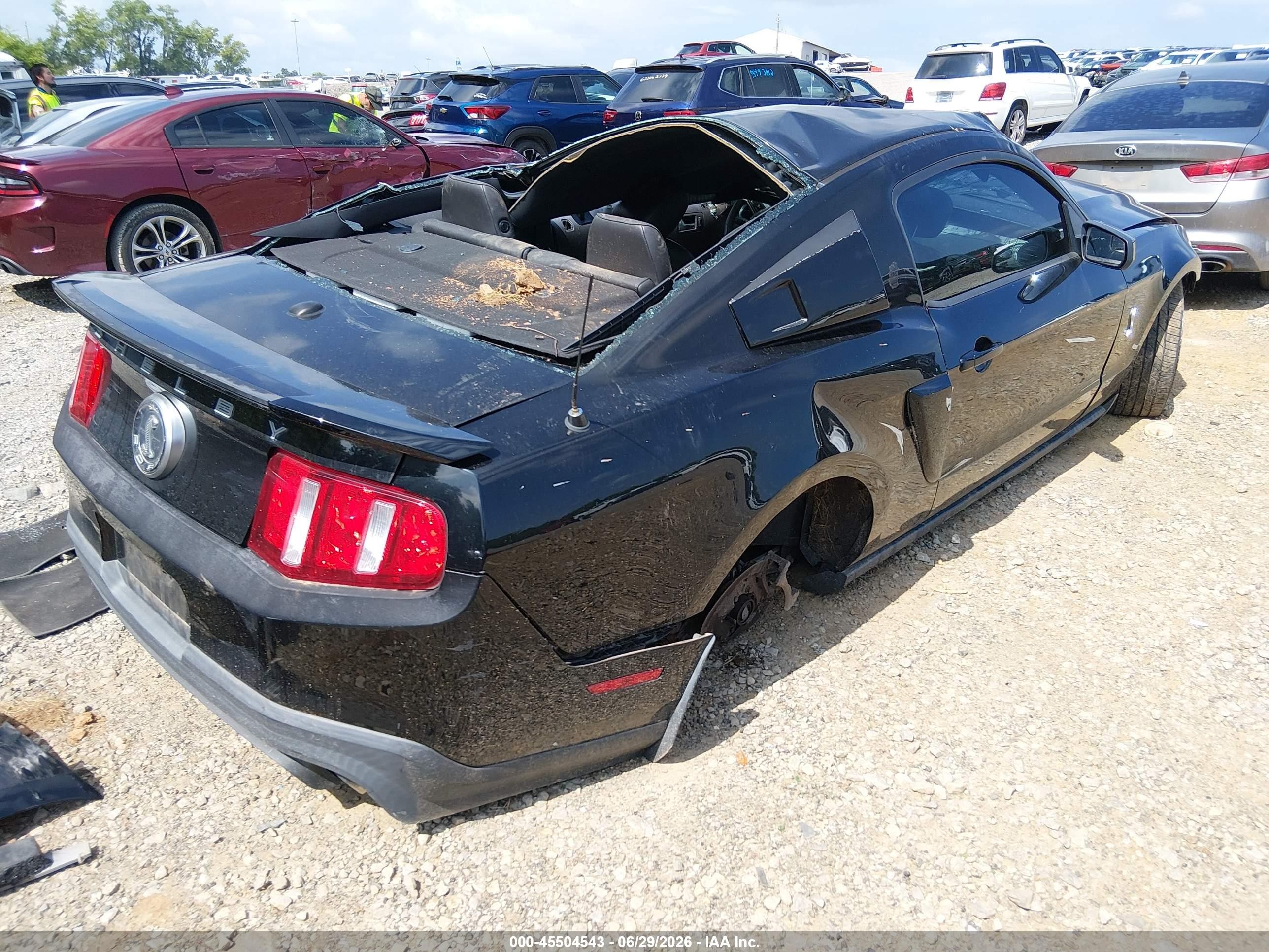 2011 Ford Shelby Gt500 Black vin: 1ZVBP8JS9B5155829