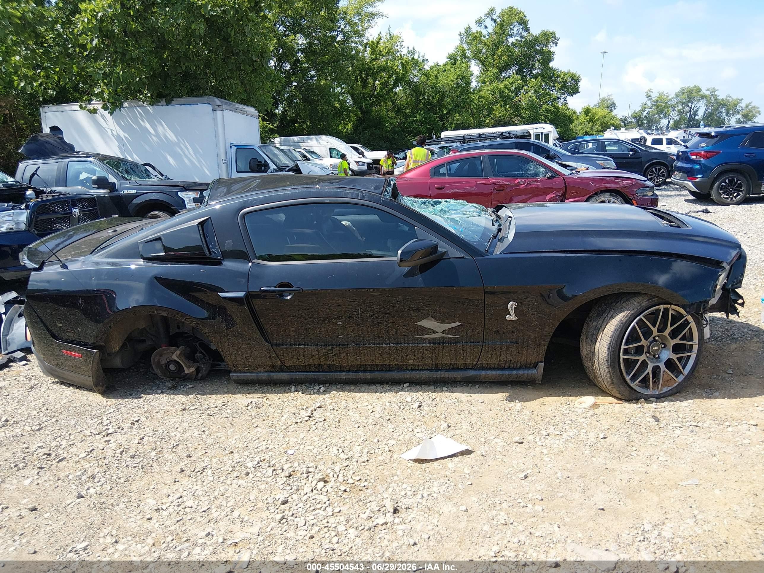 2011 Ford Shelby Gt500 Black vin: 1ZVBP8JS9B5155829
