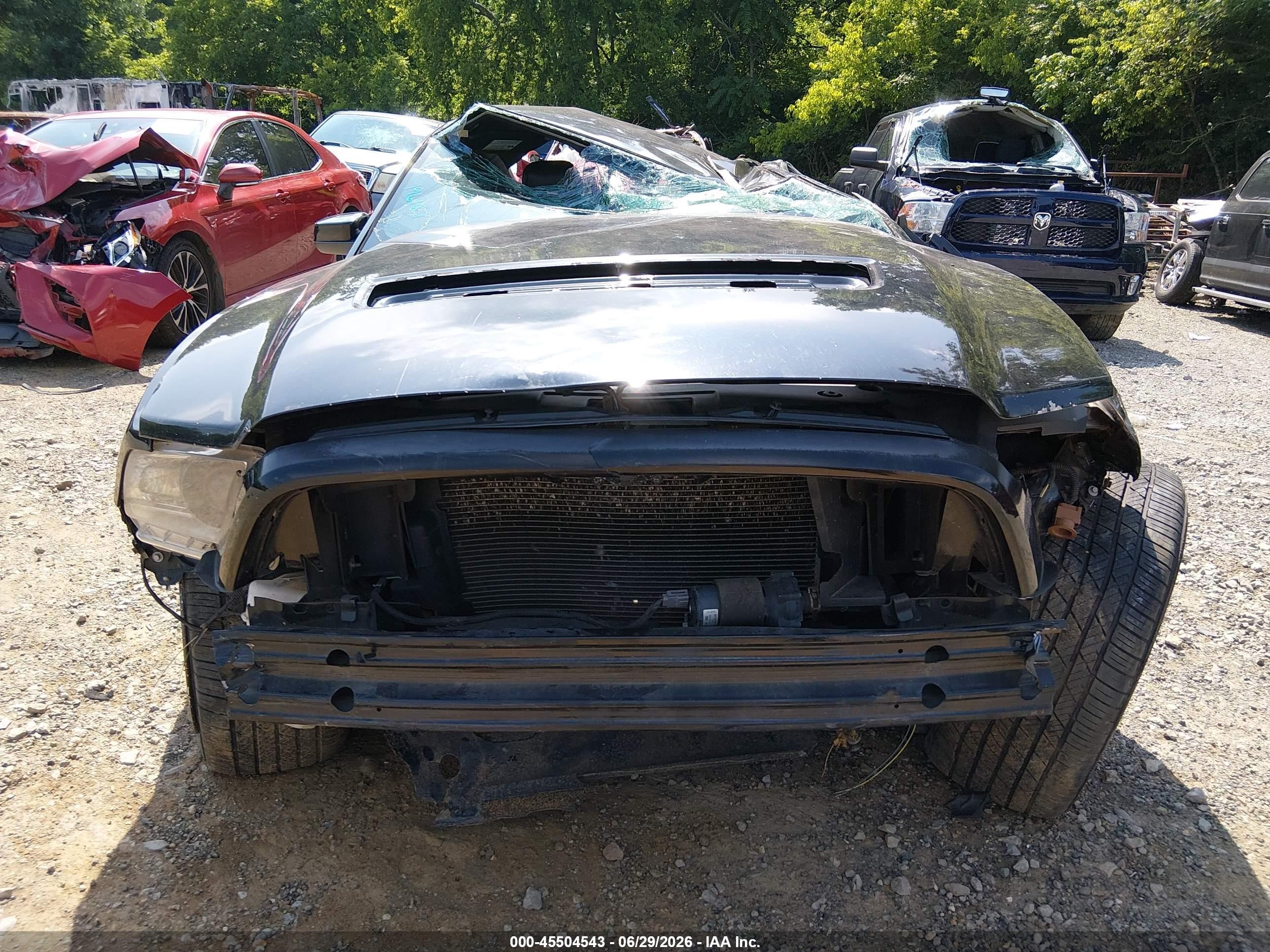 2011 Ford Shelby Gt500 Black vin: 1ZVBP8JS9B5155829