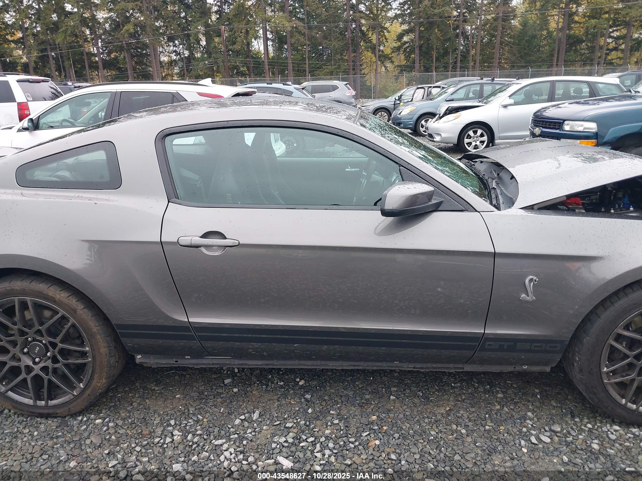 2013 Ford Shelby Gt500   Gray vin: 1ZVBP8JZ2D5260857