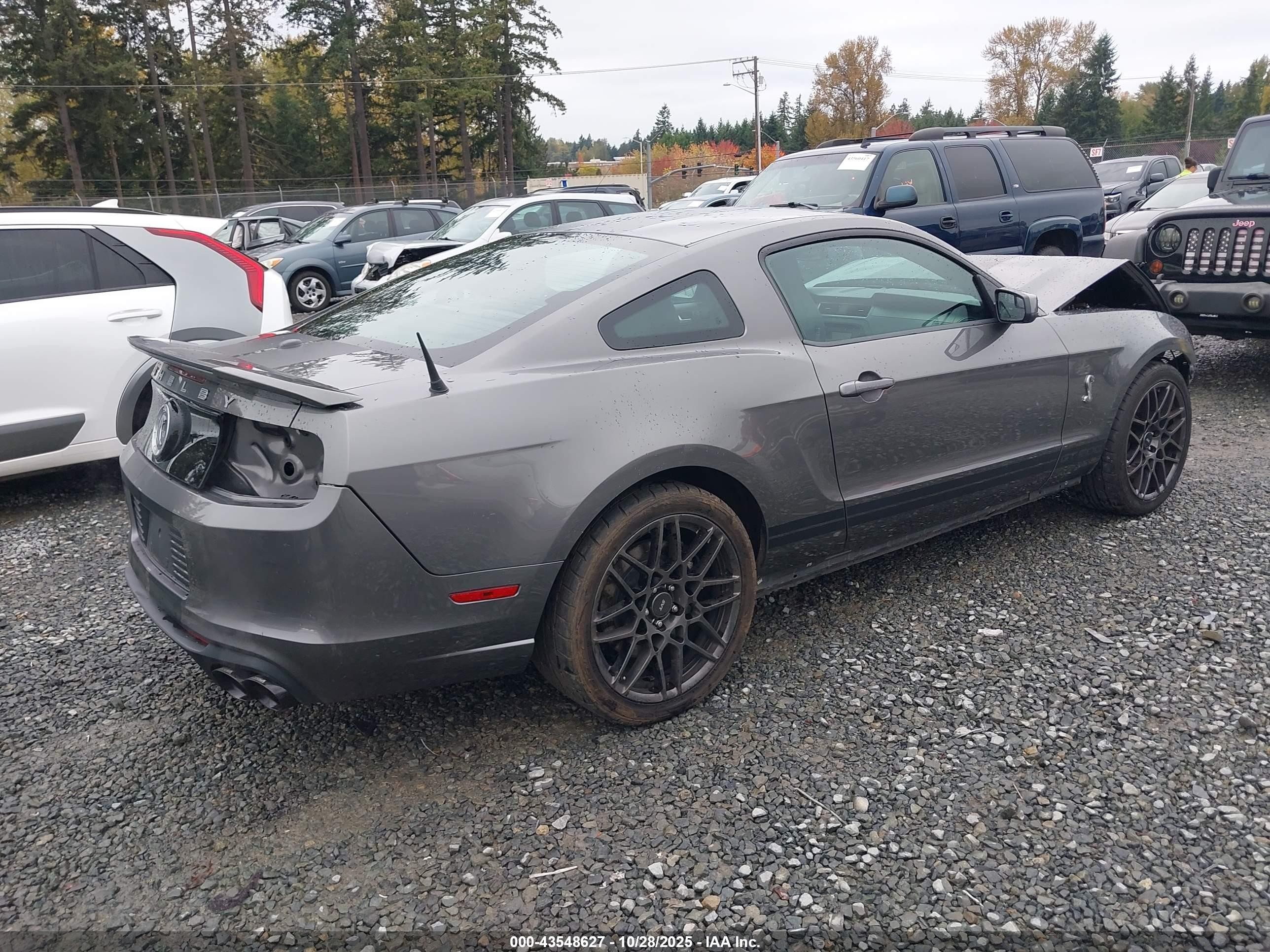 2013 Ford Shelby Gt500   Gray vin: 1ZVBP8JZ2D5260857
