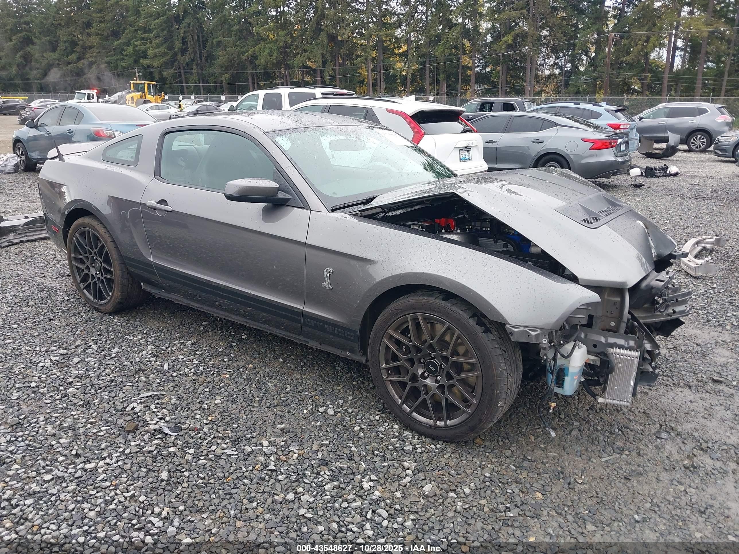 2013 Ford Shelby Gt500   Gray vin: 1ZVBP8JZ2D5260857