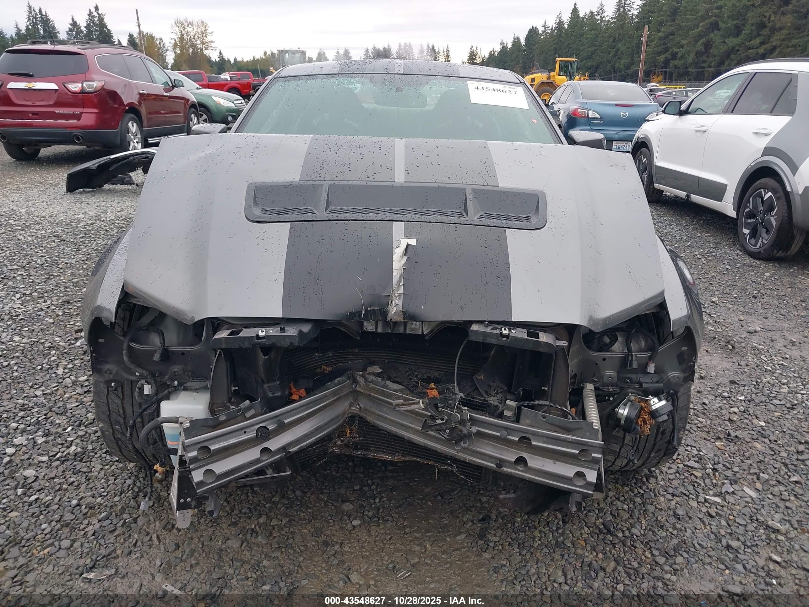 2013 Ford Shelby Gt500   Gray vin: 1ZVBP8JZ2D5260857