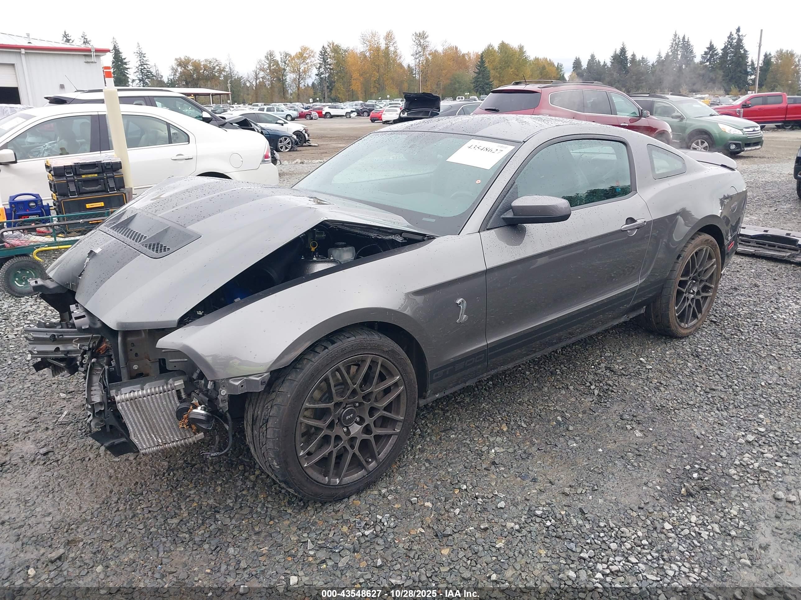 2013 Ford Shelby Gt500   Gray vin: 1ZVBP8JZ2D5260857