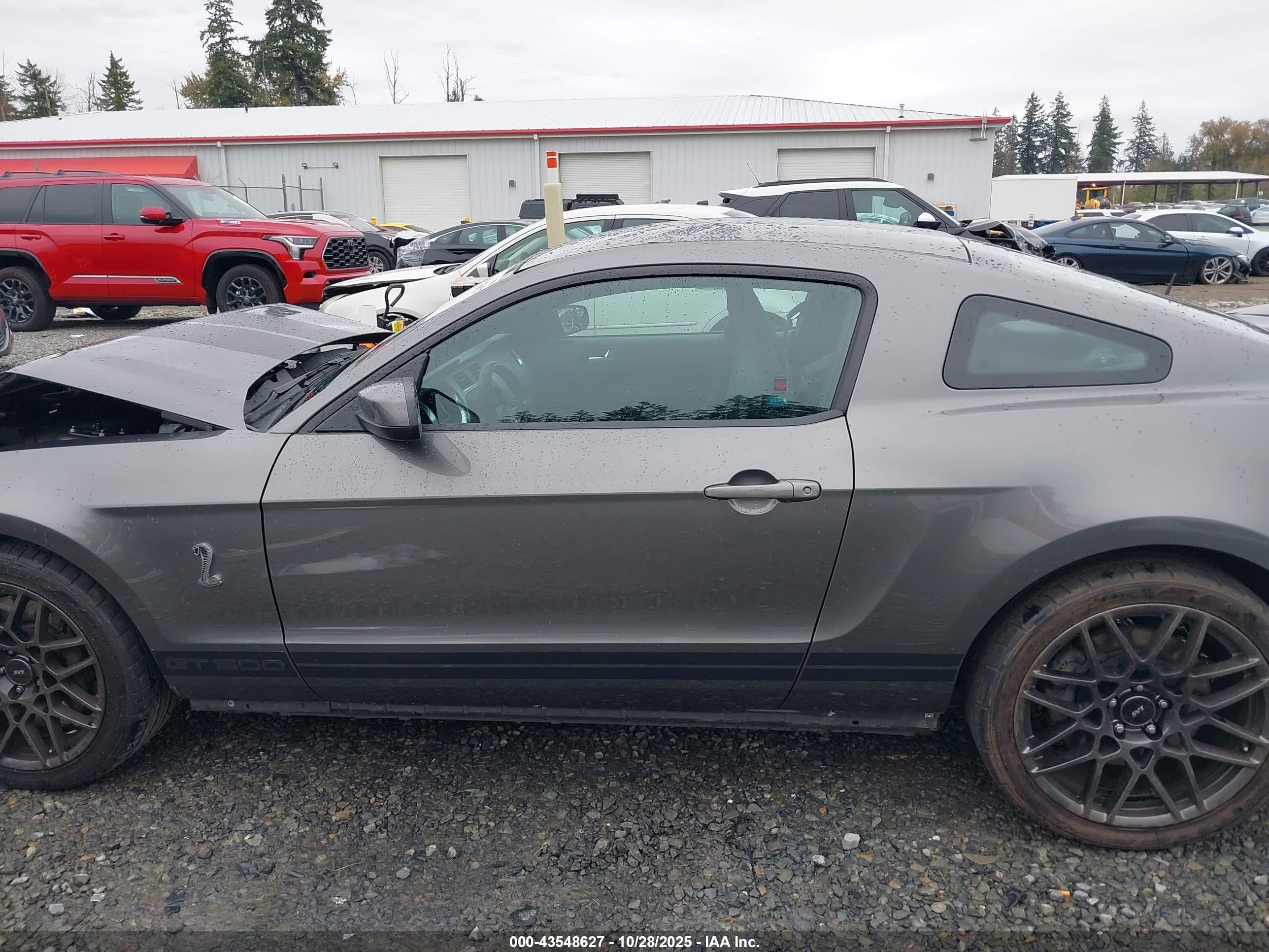 2013 Ford Shelby Gt500   Gray vin: 1ZVBP8JZ2D5260857