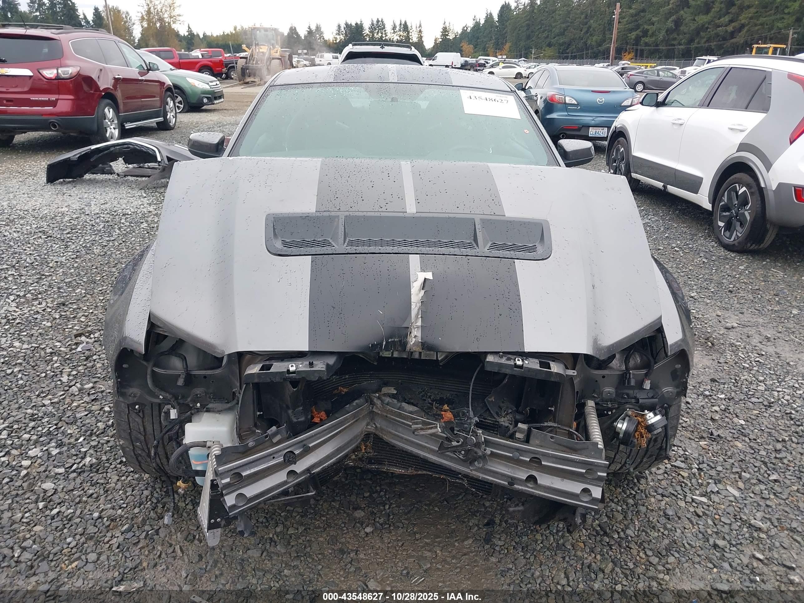 2013 Ford Shelby Gt500   Gray vin: 1ZVBP8JZ2D5260857