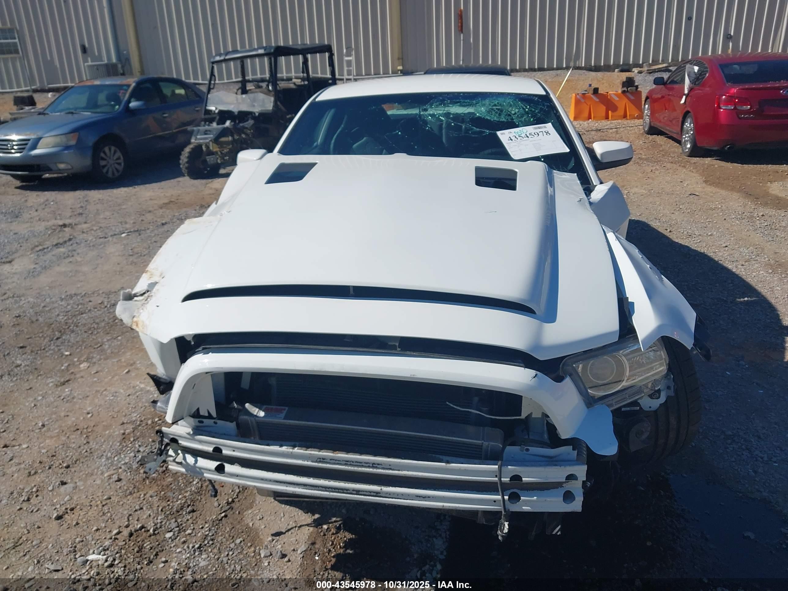 2013 Ford Shelby Gt500   White vin: 1ZVBP8JZXD5269676