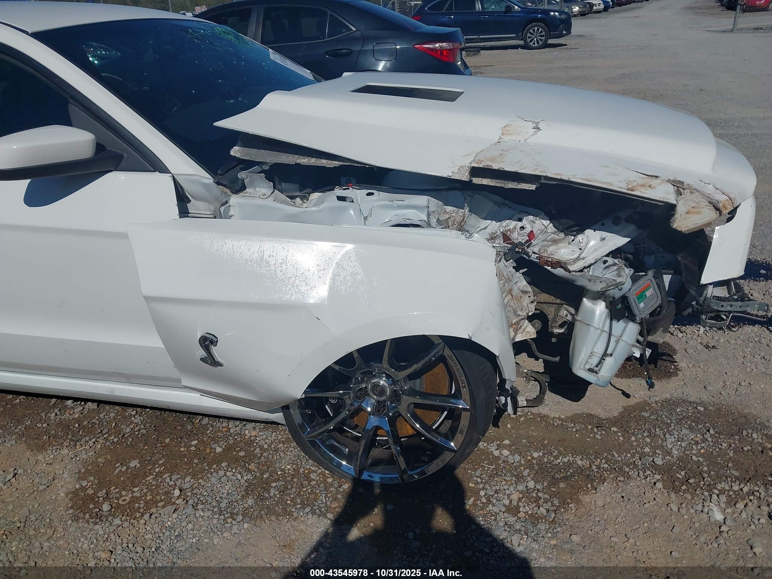 2013 Ford Shelby Gt500   White vin: 1ZVBP8JZXD5269676