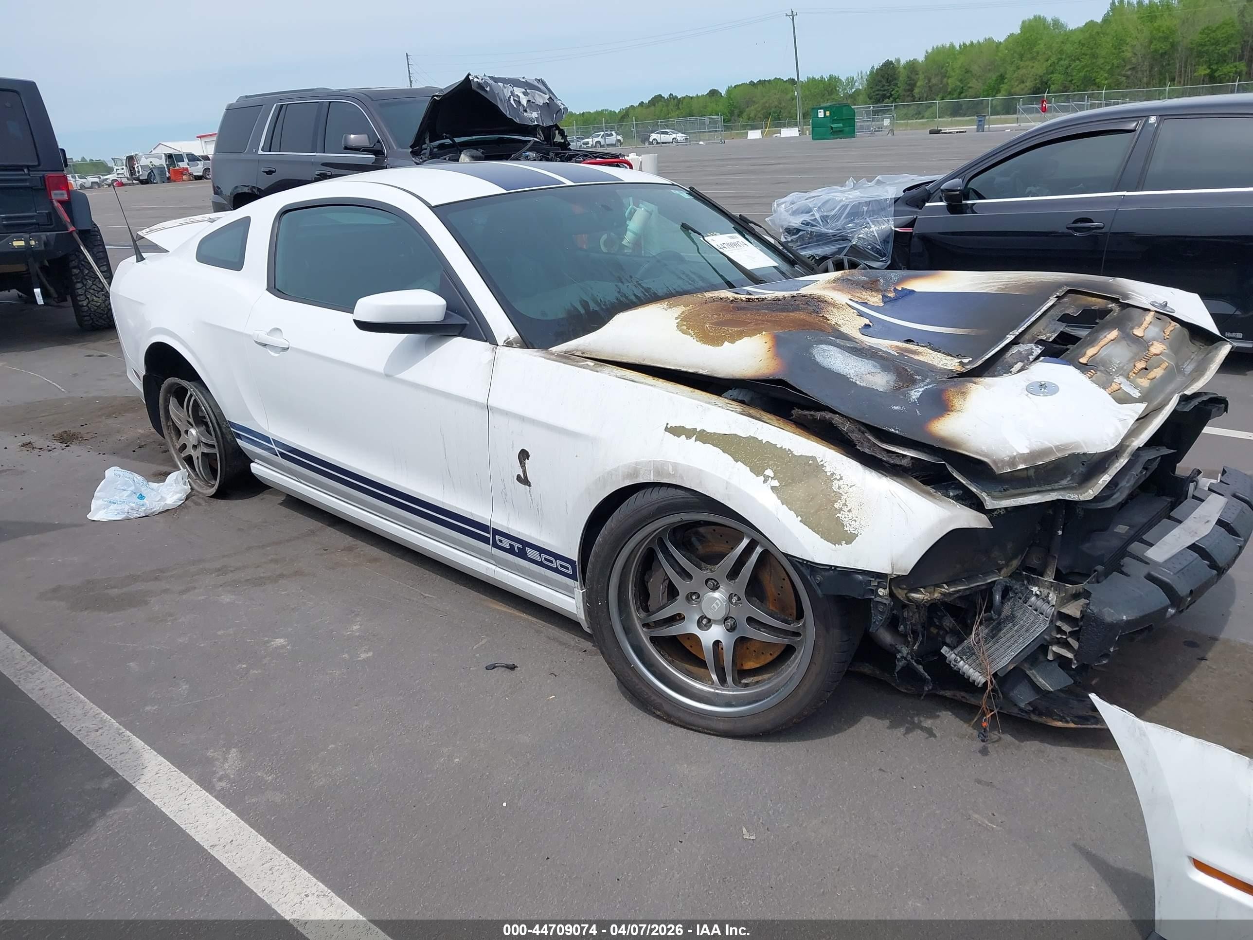2014 Ford Shelby Gt500   Белый vin: 1ZVBP8JZXE5249090