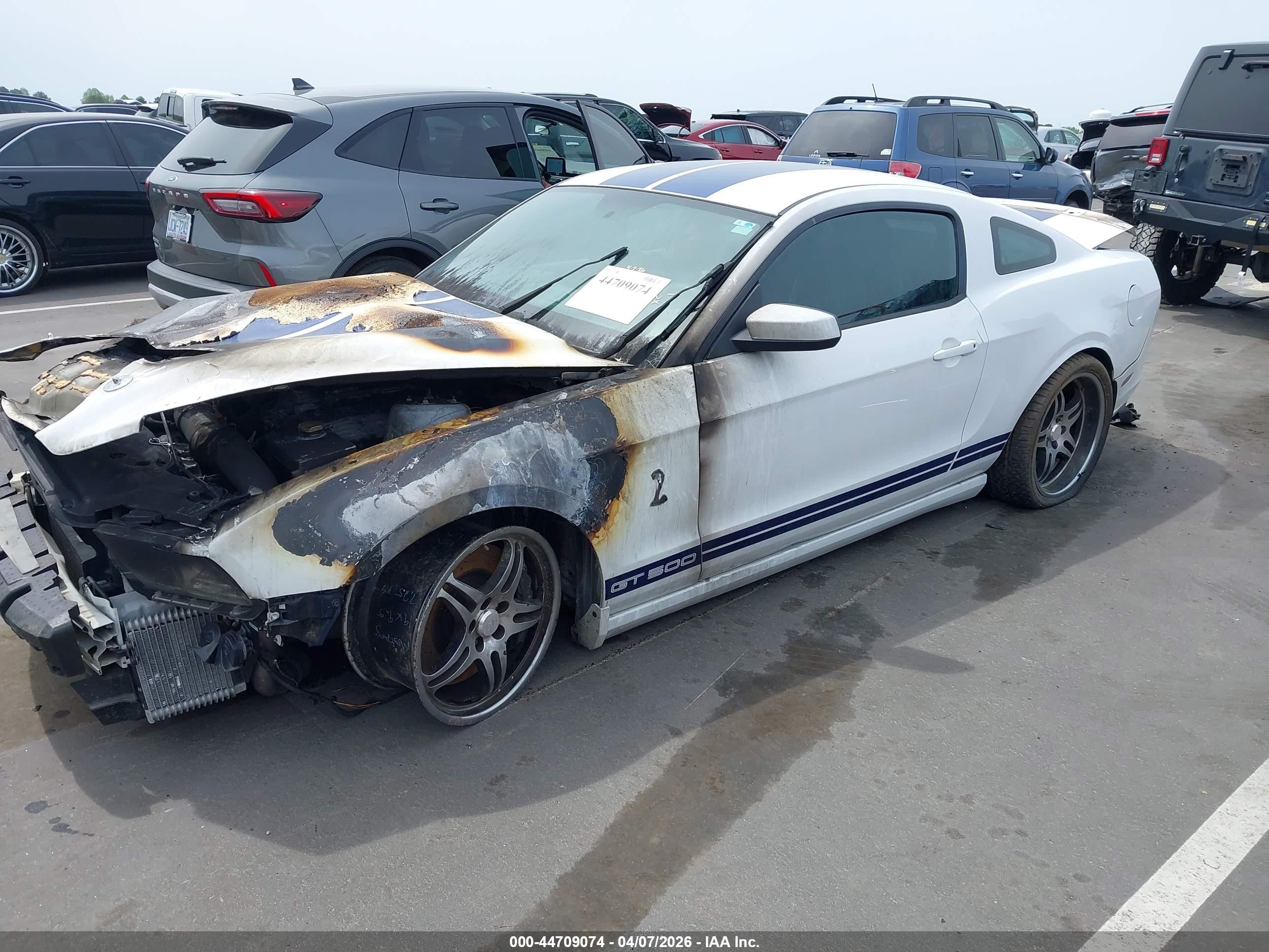 2014 Ford Shelby Gt500   Белый vin: 1ZVBP8JZXE5249090
