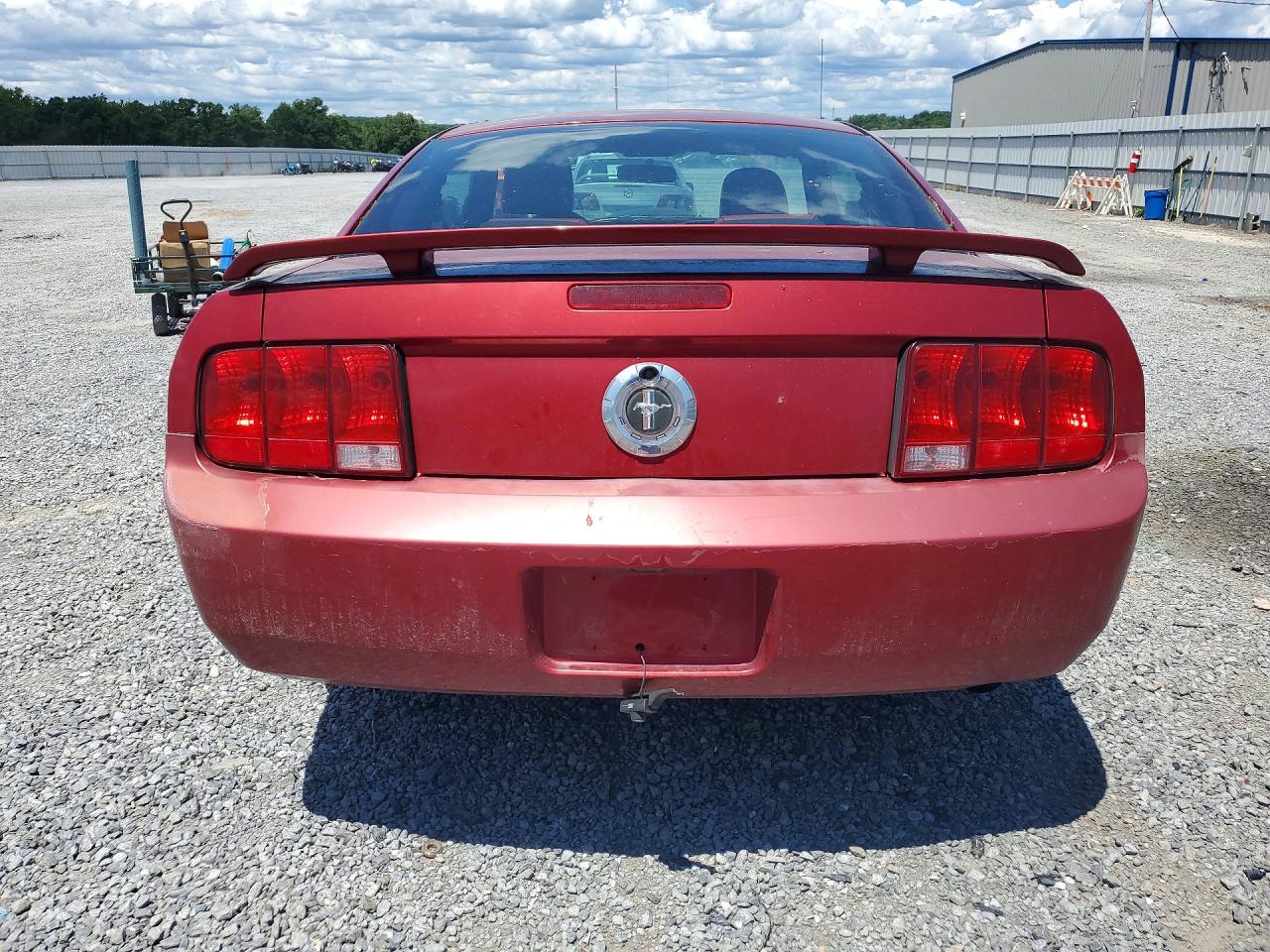 2005 Ford Mustang Красный vin: 1ZVFT80N055104183