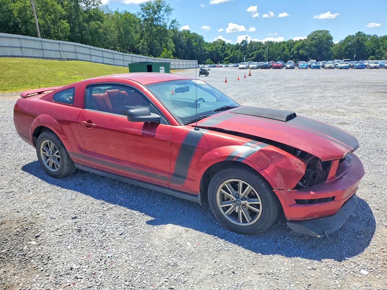 2005 Ford Mustang Красный vin: 1ZVFT80N055104183
