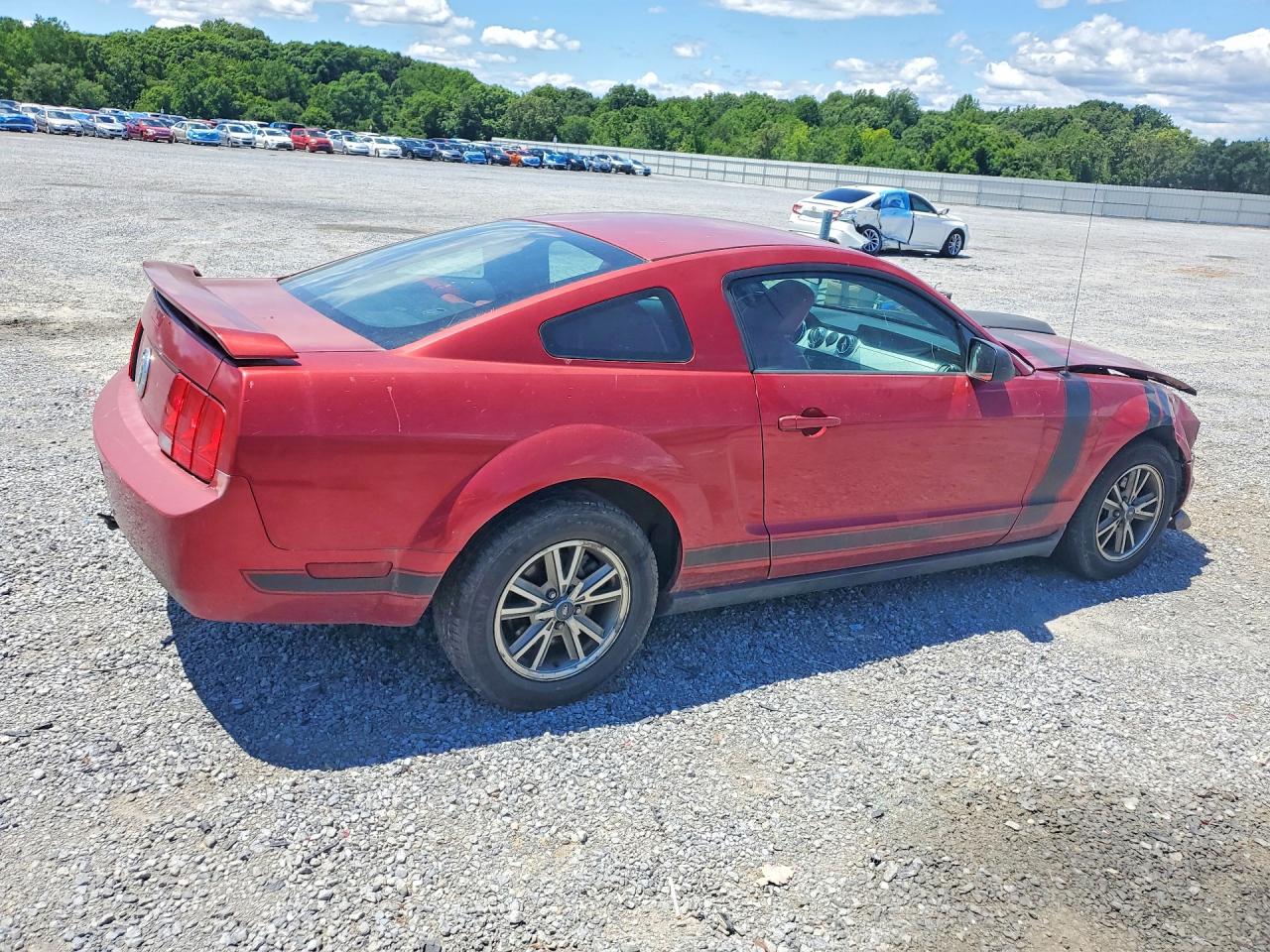 2005 Ford Mustang Красный vin: 1ZVFT80N055104183