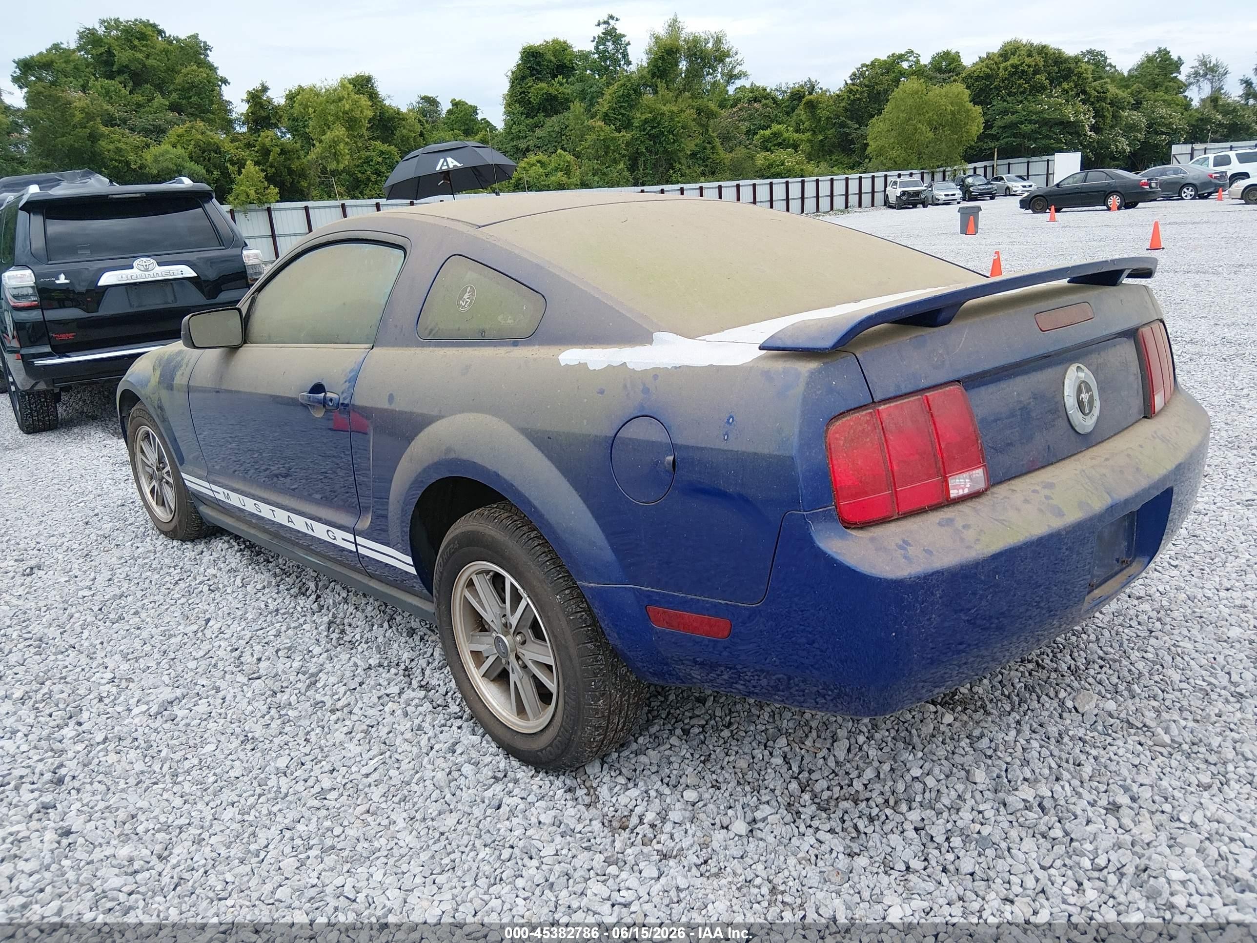 2005 Ford Mustang V6 Deluxe/v6 Premium Blue vin: 1ZVFT80N055130282