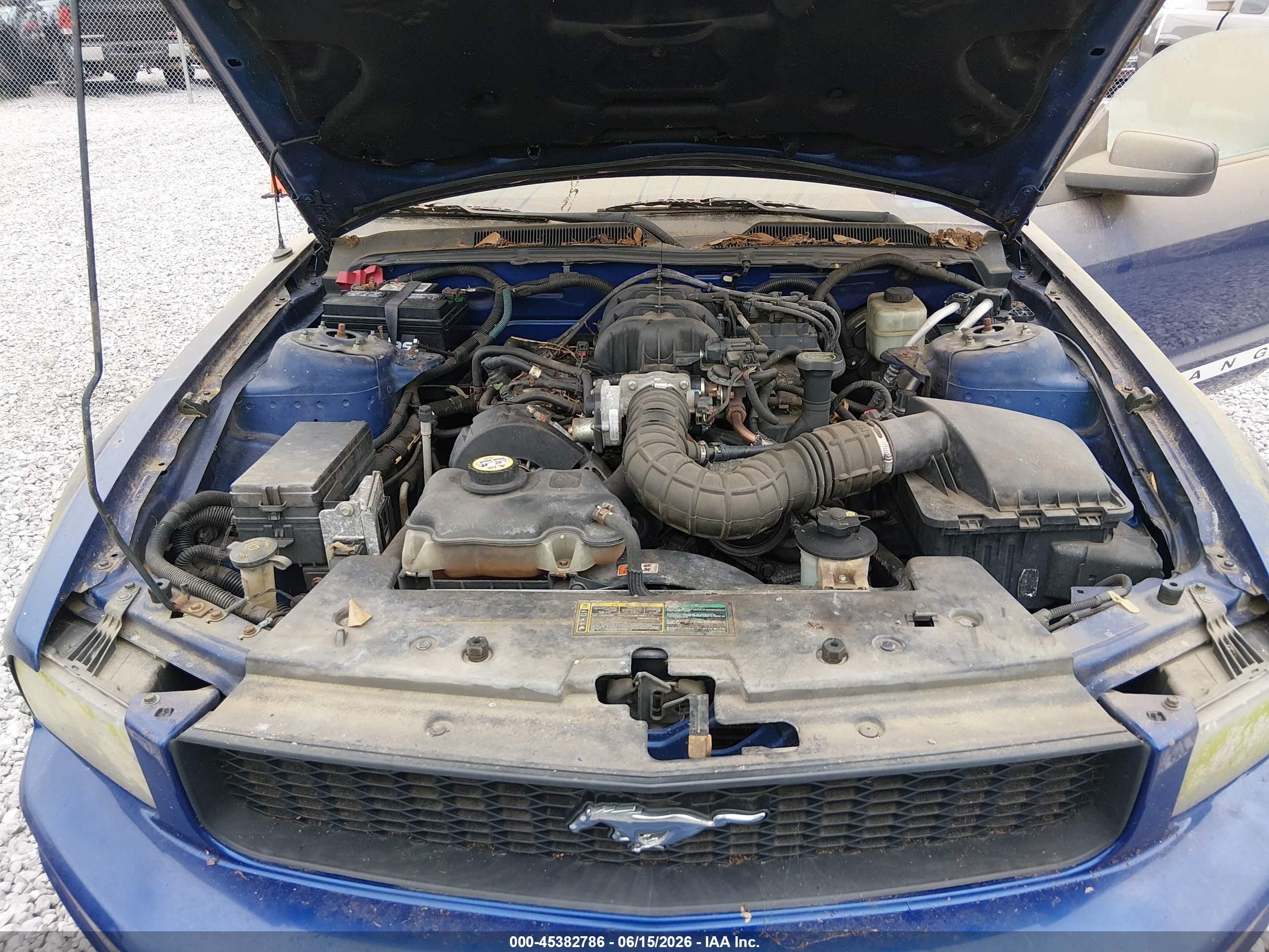 2005 Ford Mustang V6 Deluxe/v6 Premium Blue vin: 1ZVFT80N055130282