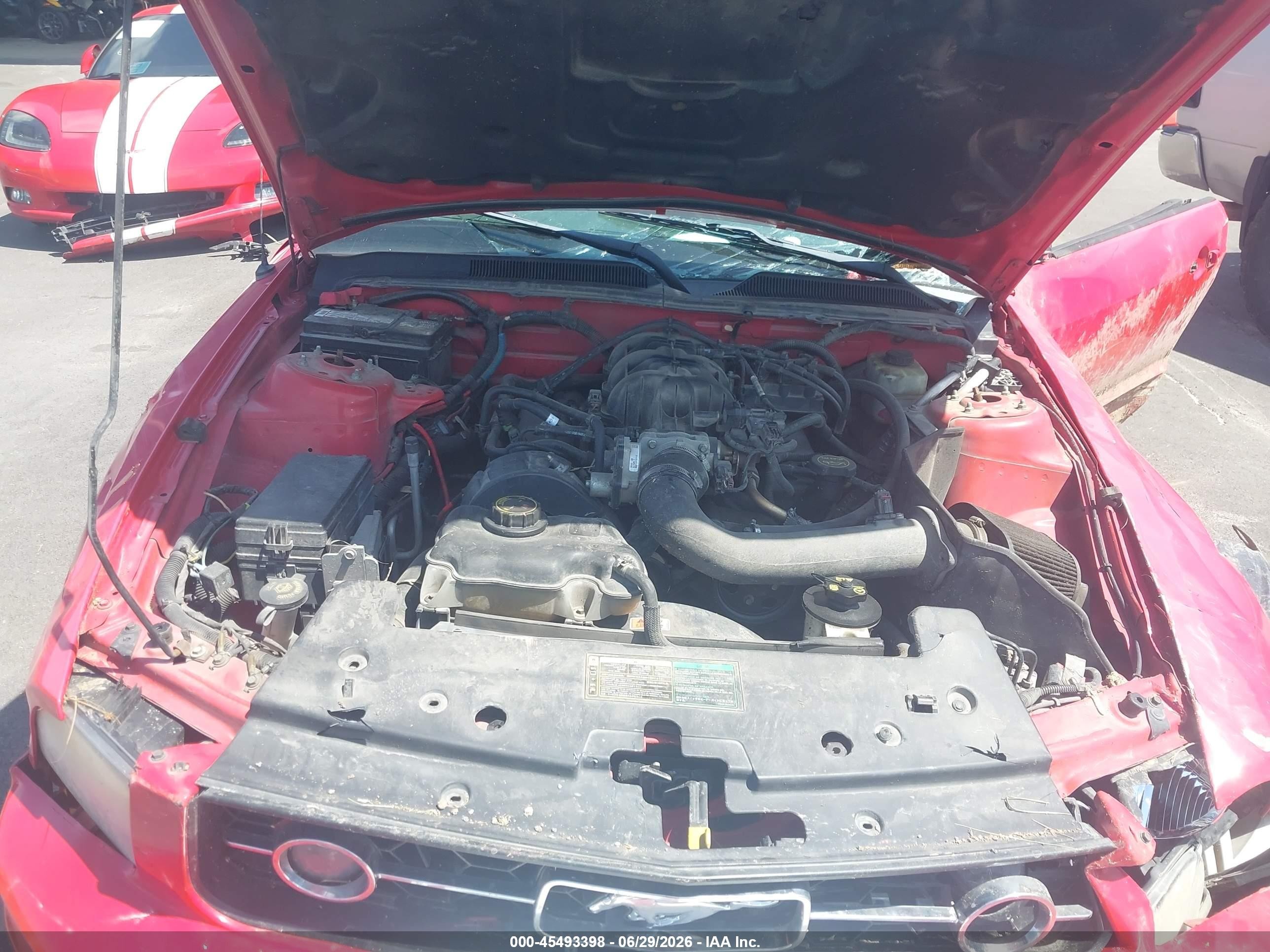 2005 Ford Mustang   Red vin: 1ZVFT80N055227465