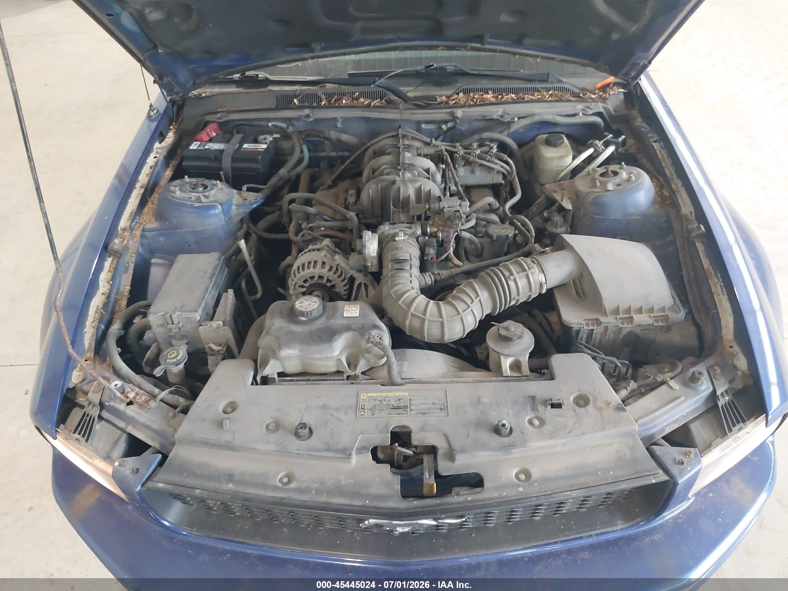 2005 Ford Mustang V6 Deluxe/v6 Premium Blue vin: 1ZVFT80N055255847