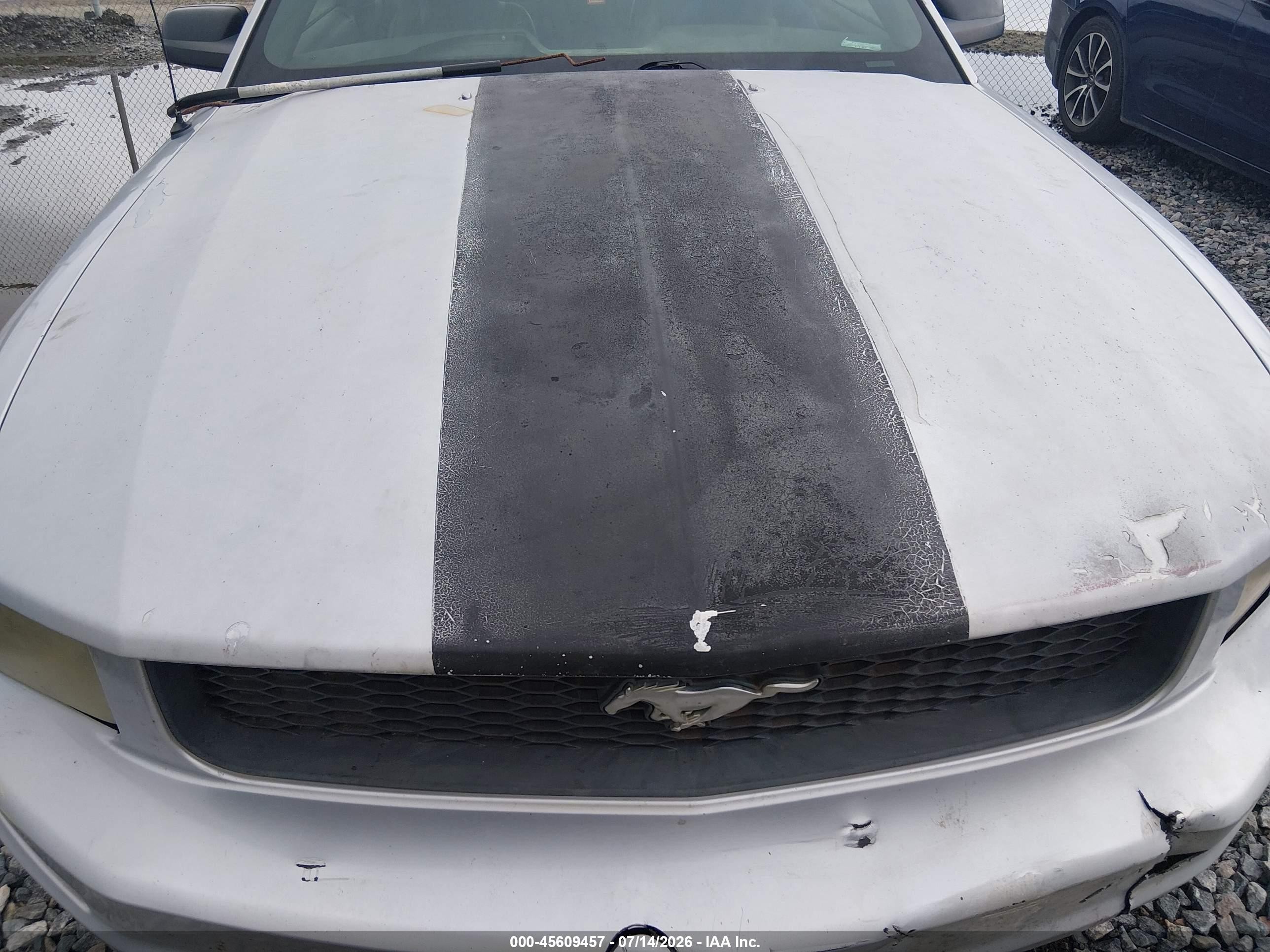 2006 Ford Mustang V6 Silver vin: 1ZVFT80N065109353