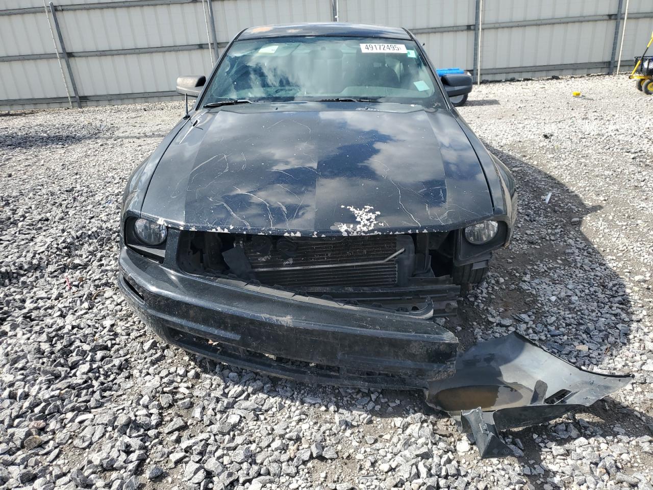 2006 Ford Mustang Black vin: 1ZVFT80N065144331