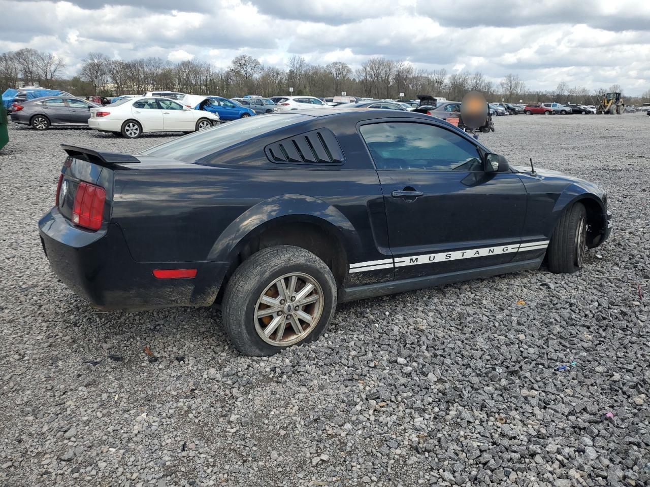 2006 Ford Mustang Black vin: 1ZVFT80N065144331