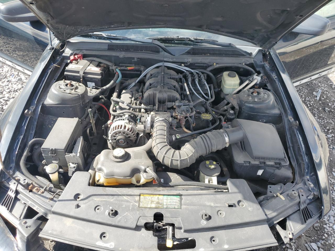 2006 Ford Mustang Black vin: 1ZVFT80N065144331