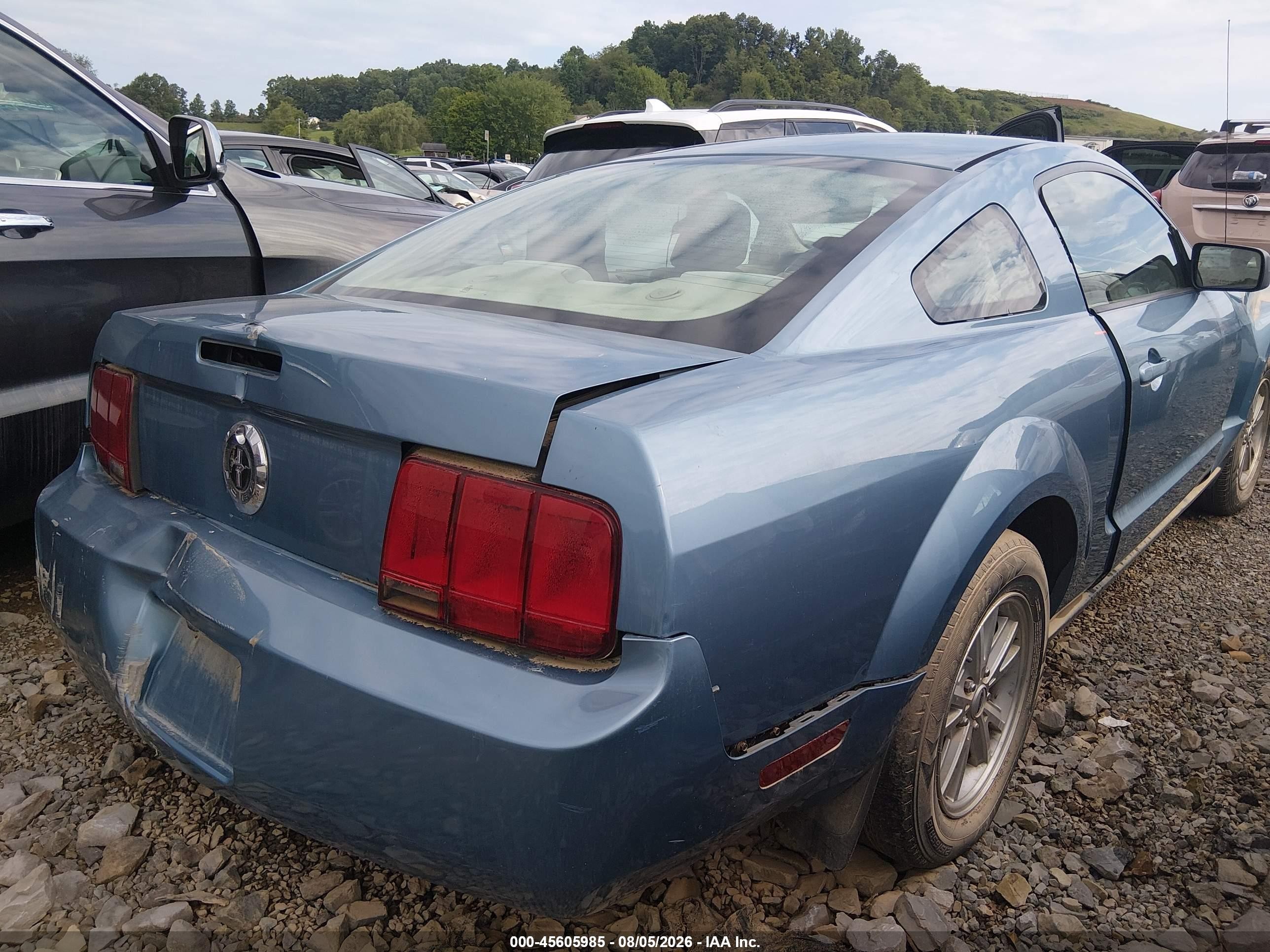 2006 Ford Mustang V6 Blue vin: 1ZVFT80N065183193