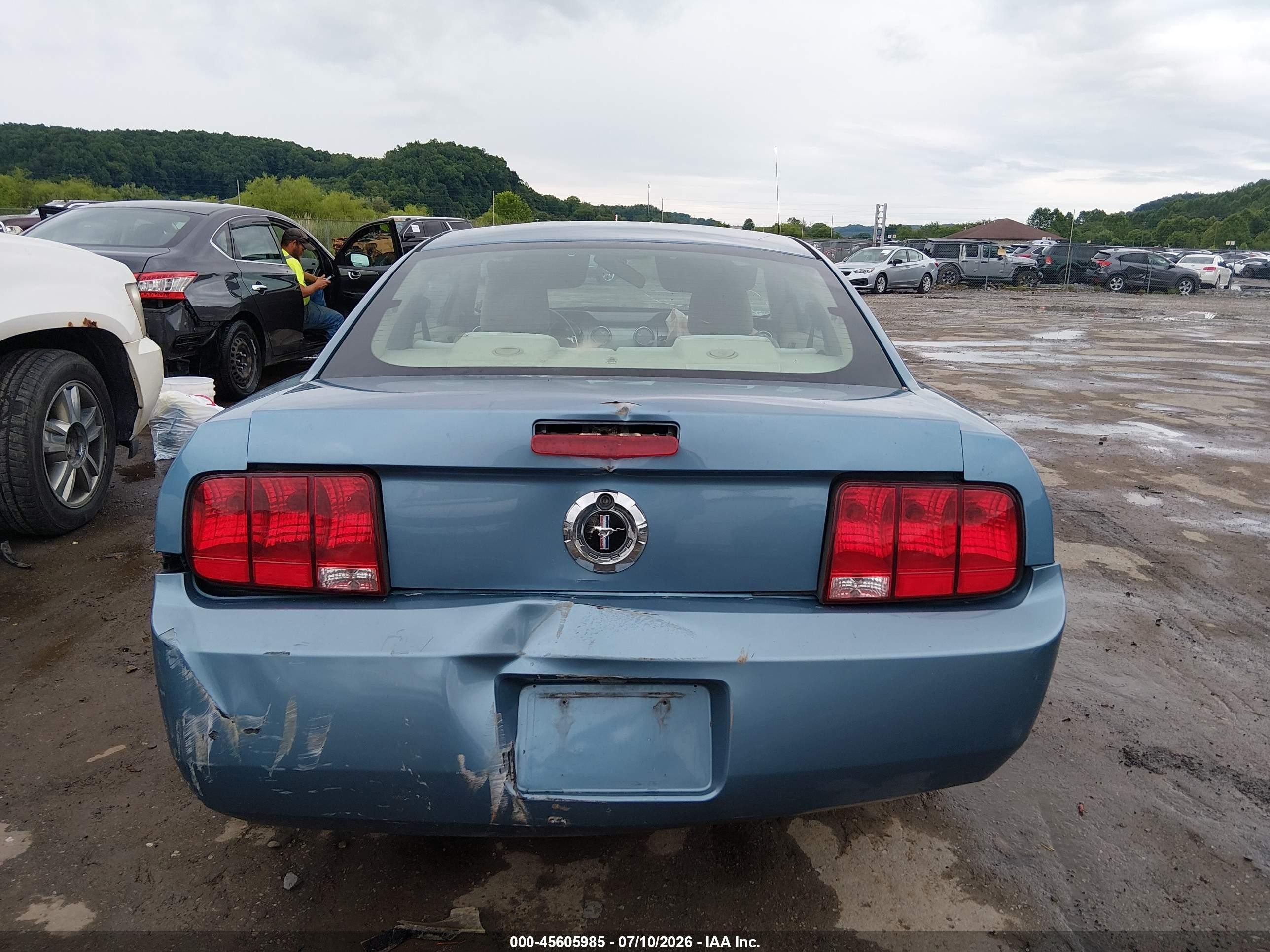2006 Ford Mustang V6 Blue vin: 1ZVFT80N065183193