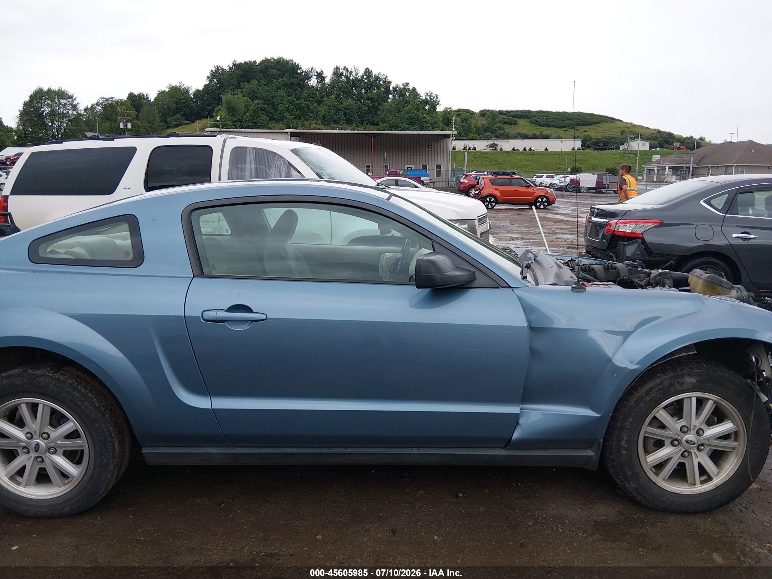 2006 Ford Mustang V6 Blue vin: 1ZVFT80N065183193
