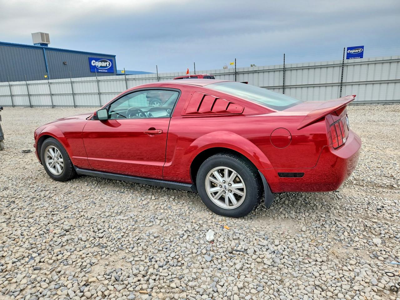 2006 Ford Mustang Red vin: 1ZVFT80N065236975