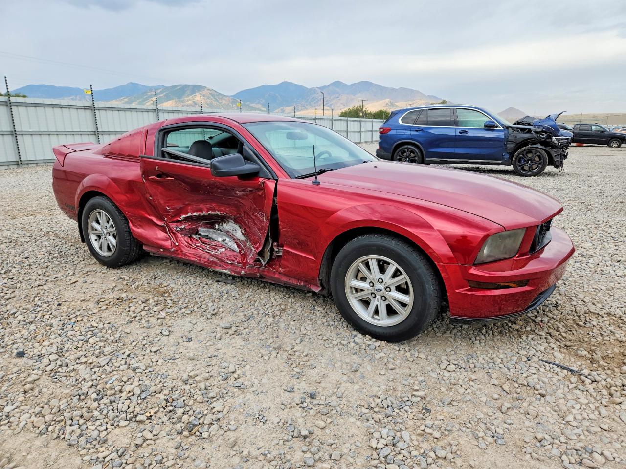 2006 Ford Mustang Red vin: 1ZVFT80N065236975