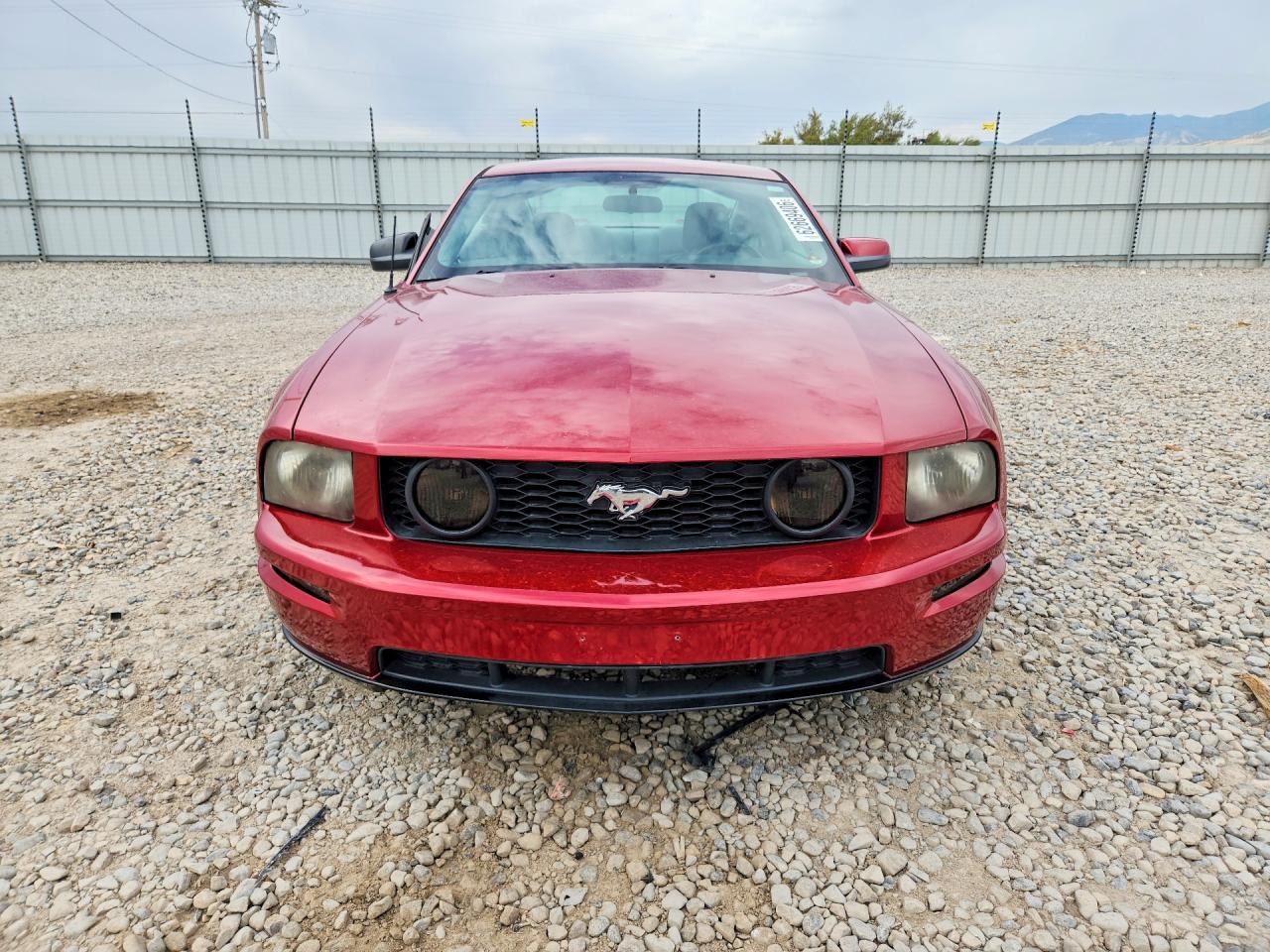 2006 Ford Mustang Red vin: 1ZVFT80N065236975