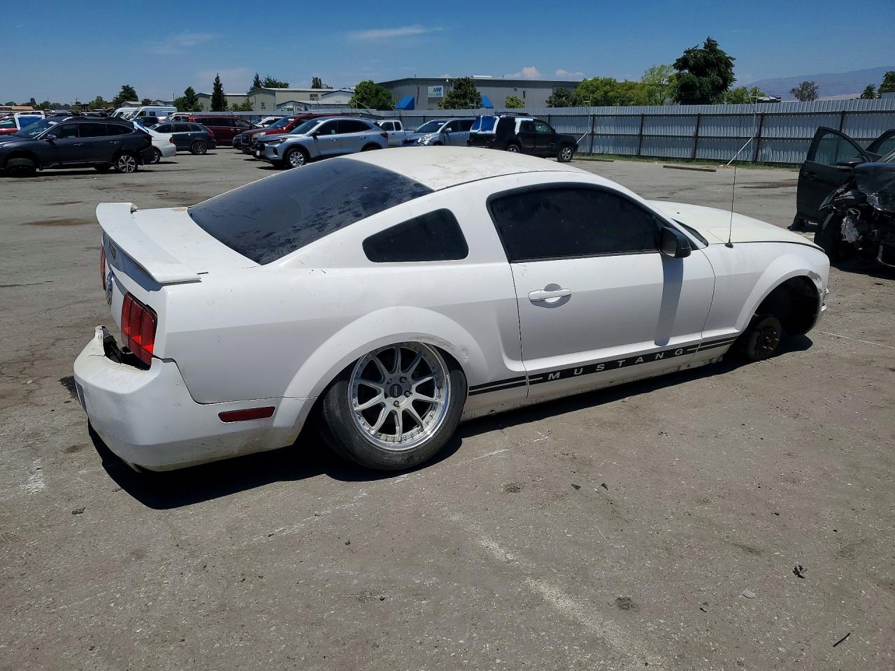 2006 Ford Mustang White vin: 1ZVFT80N065261505