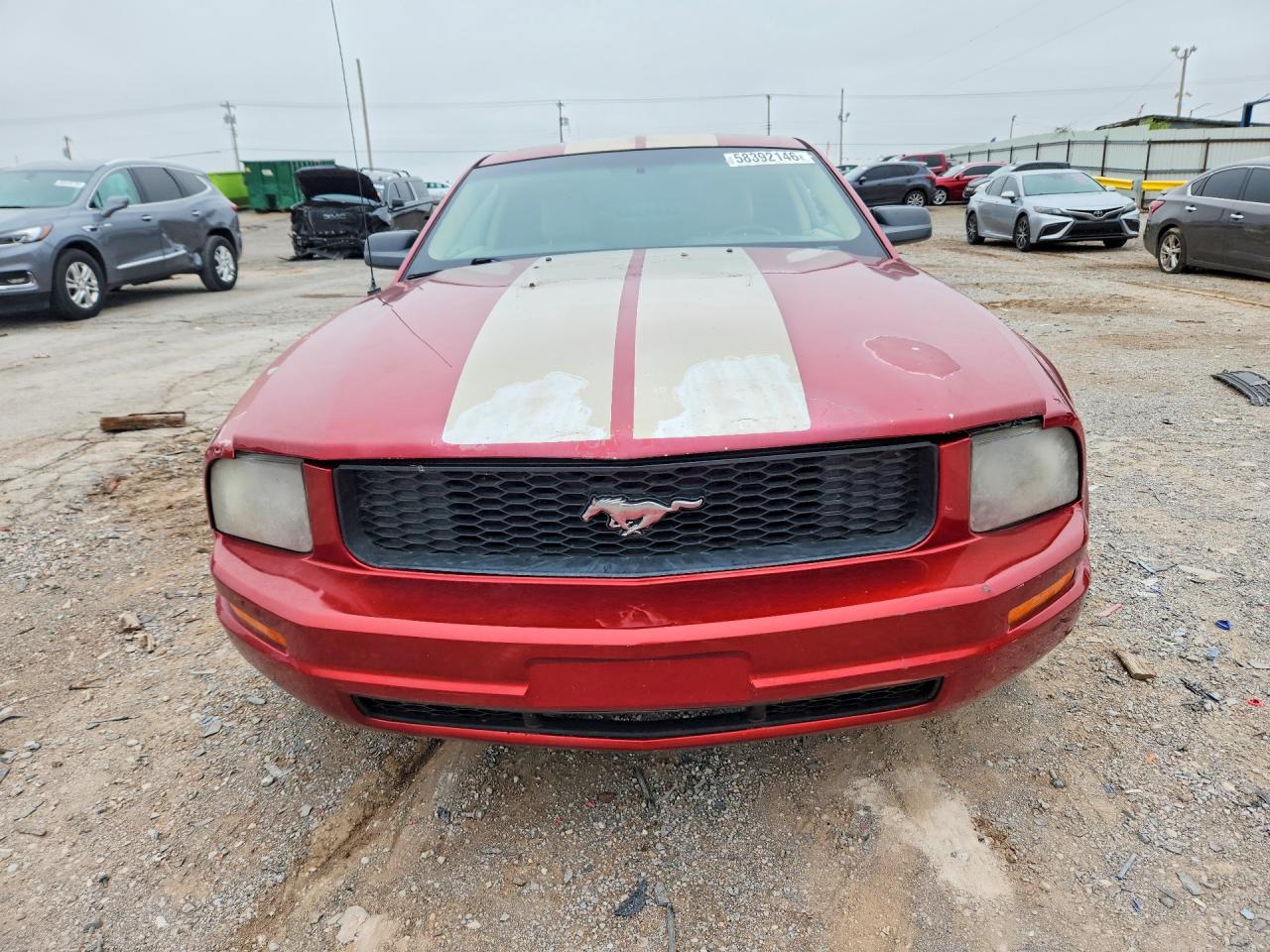 2007 Ford Mustang Красный vin: 1ZVFT80N075213441