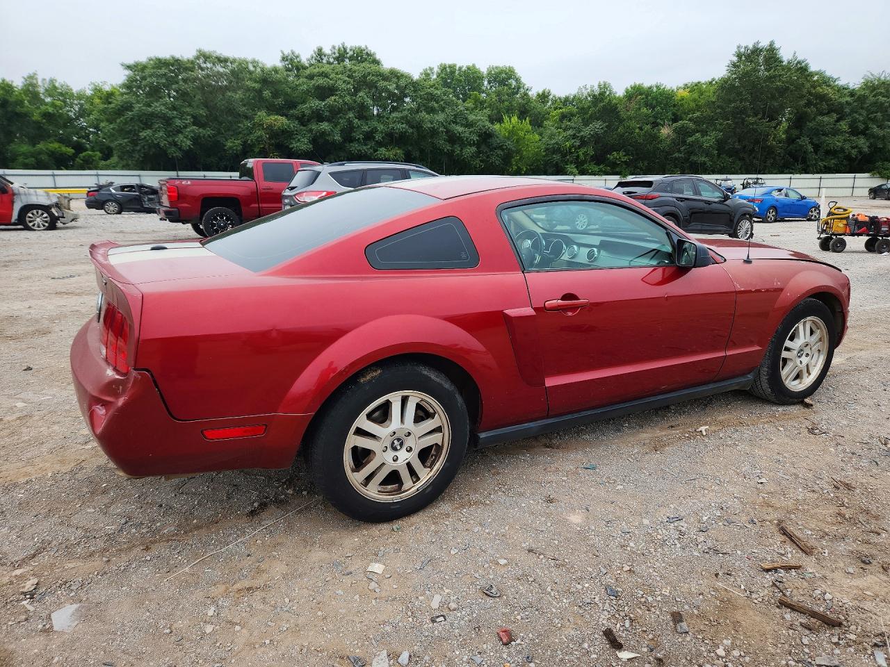 2007 Ford Mustang Красный vin: 1ZVFT80N075213441