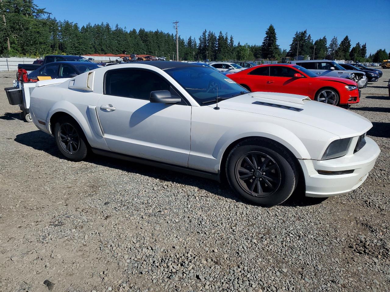 2007 Ford Mustang White vin: 1ZVFT80N075263028