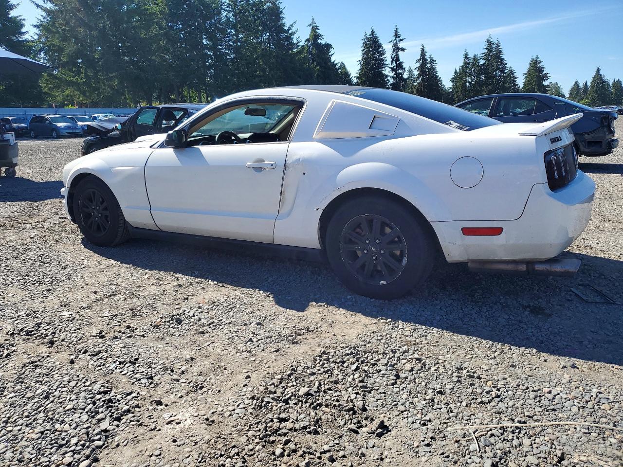 2007 Ford Mustang White vin: 1ZVFT80N075263028