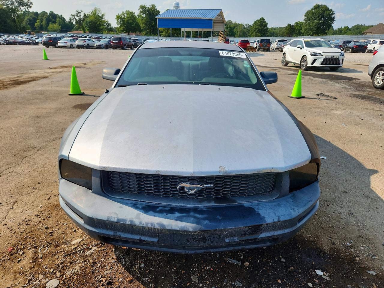 2007 Ford Mustang Blue vin: 1ZVFT80N075266009