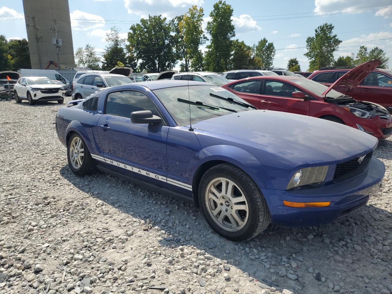 2005 Ford Mustang Blue vin: 1ZVFT80N155253105