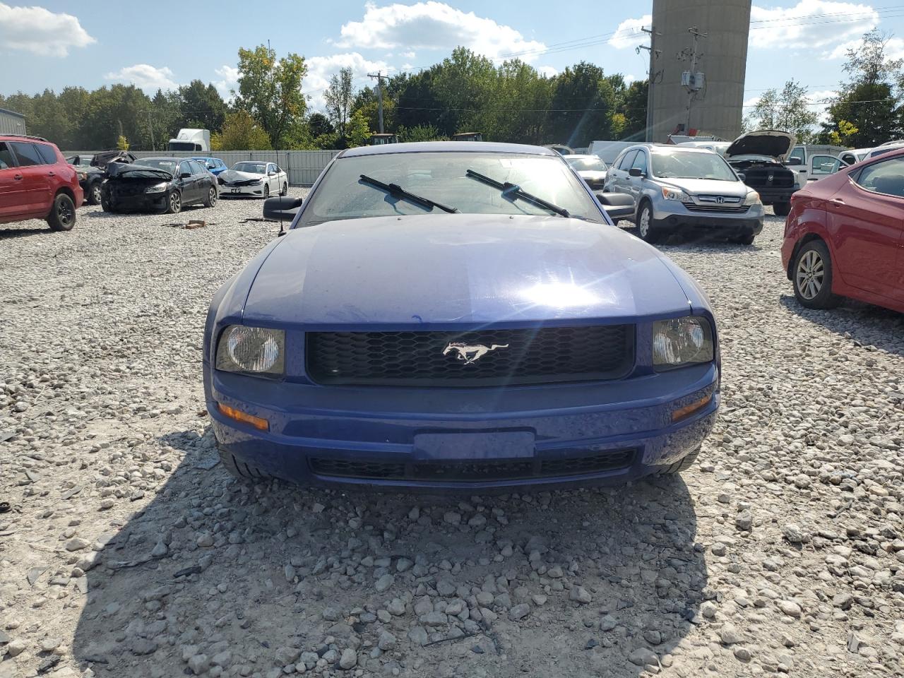 2005 Ford Mustang Blue vin: 1ZVFT80N155253105