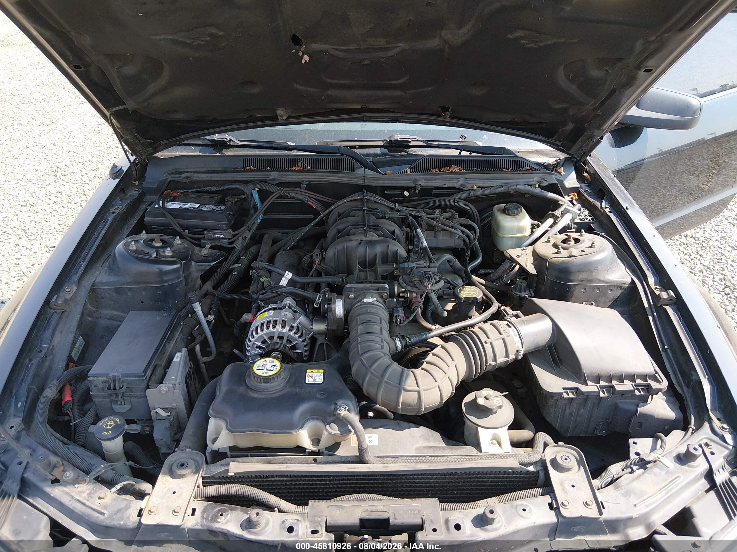 2006 Ford Mustang V6 Черный vin: 1ZVFT80N165123875