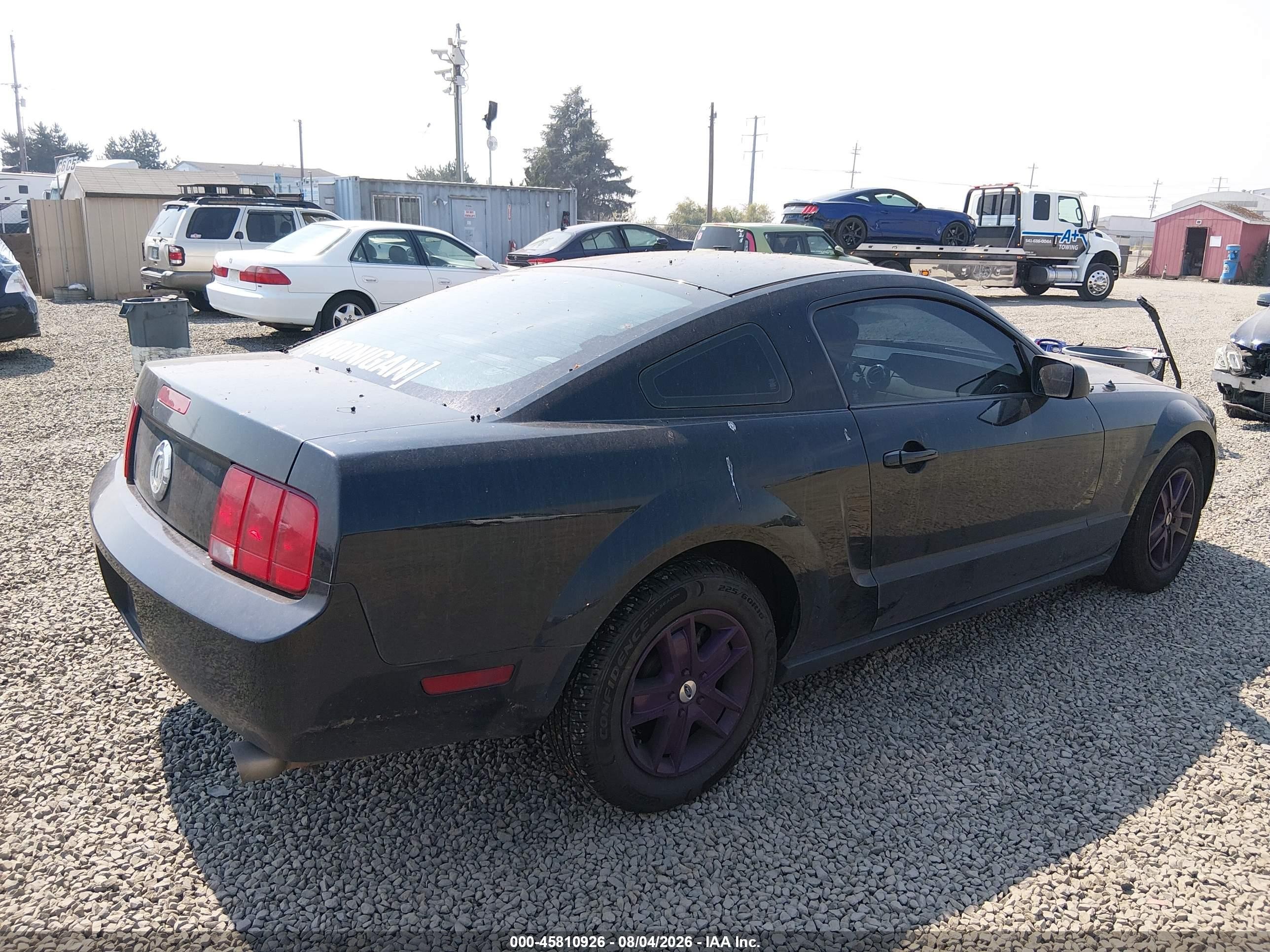 2006 Ford Mustang V6 Черный vin: 1ZVFT80N165123875