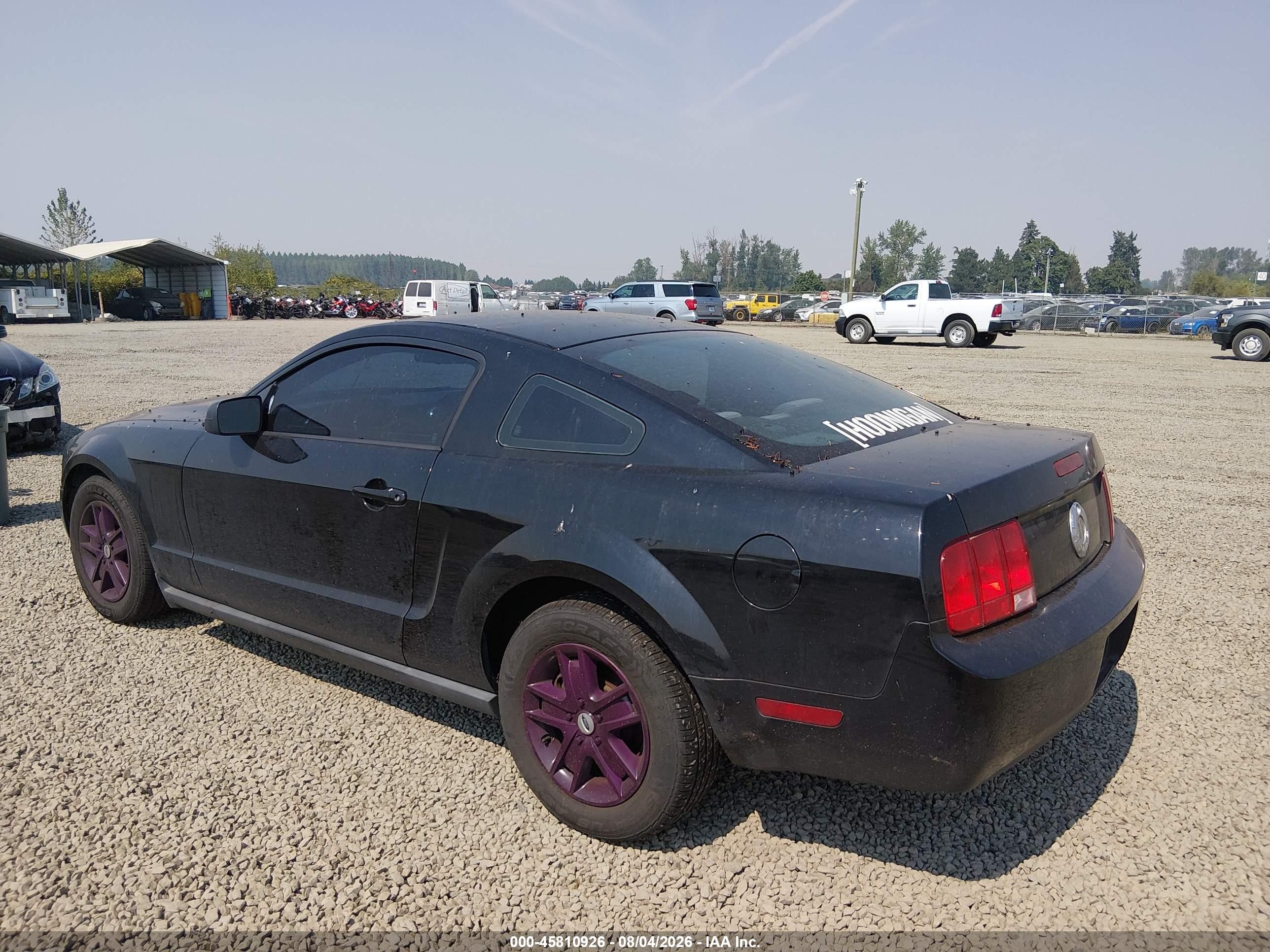 2006 Ford Mustang V6 Черный vin: 1ZVFT80N165123875