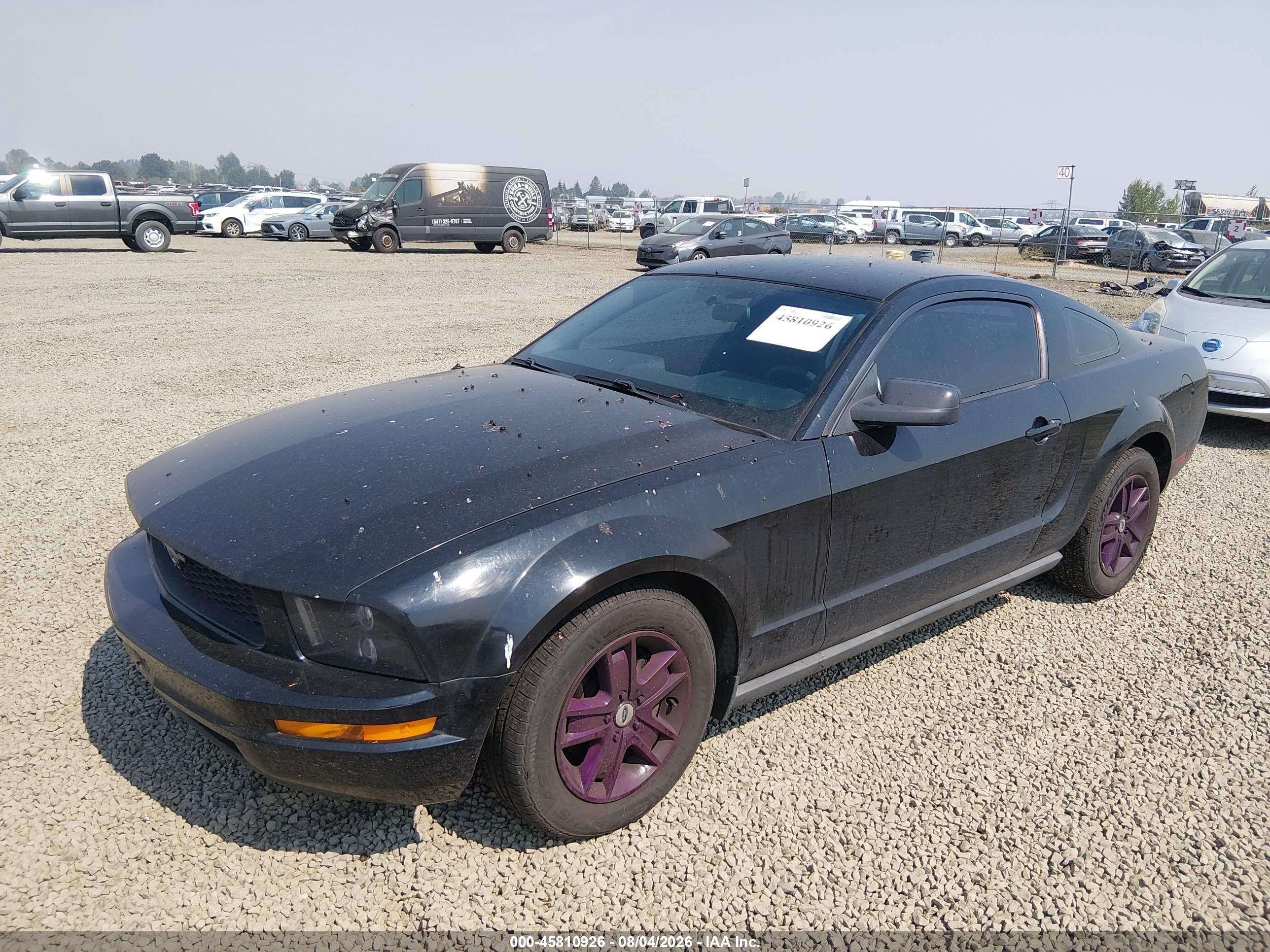 2006 Ford Mustang V6 Черный vin: 1ZVFT80N165123875