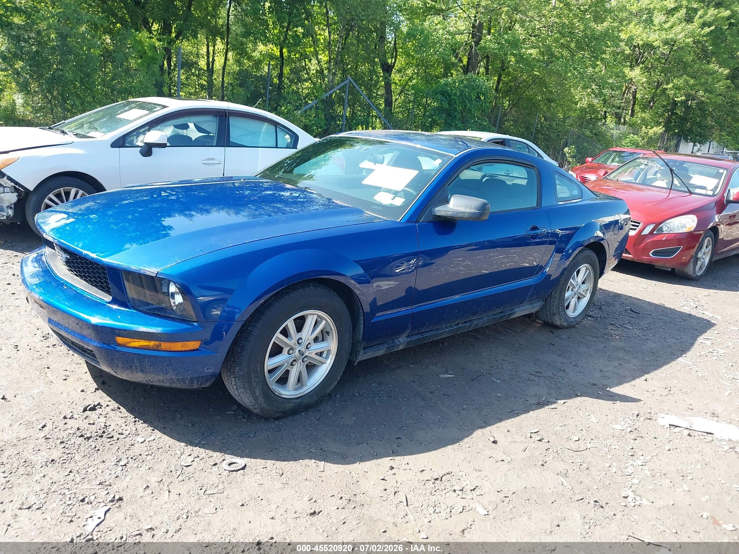 2006 Ford Mustang V6 Blue vin: 1ZVFT80N165161641