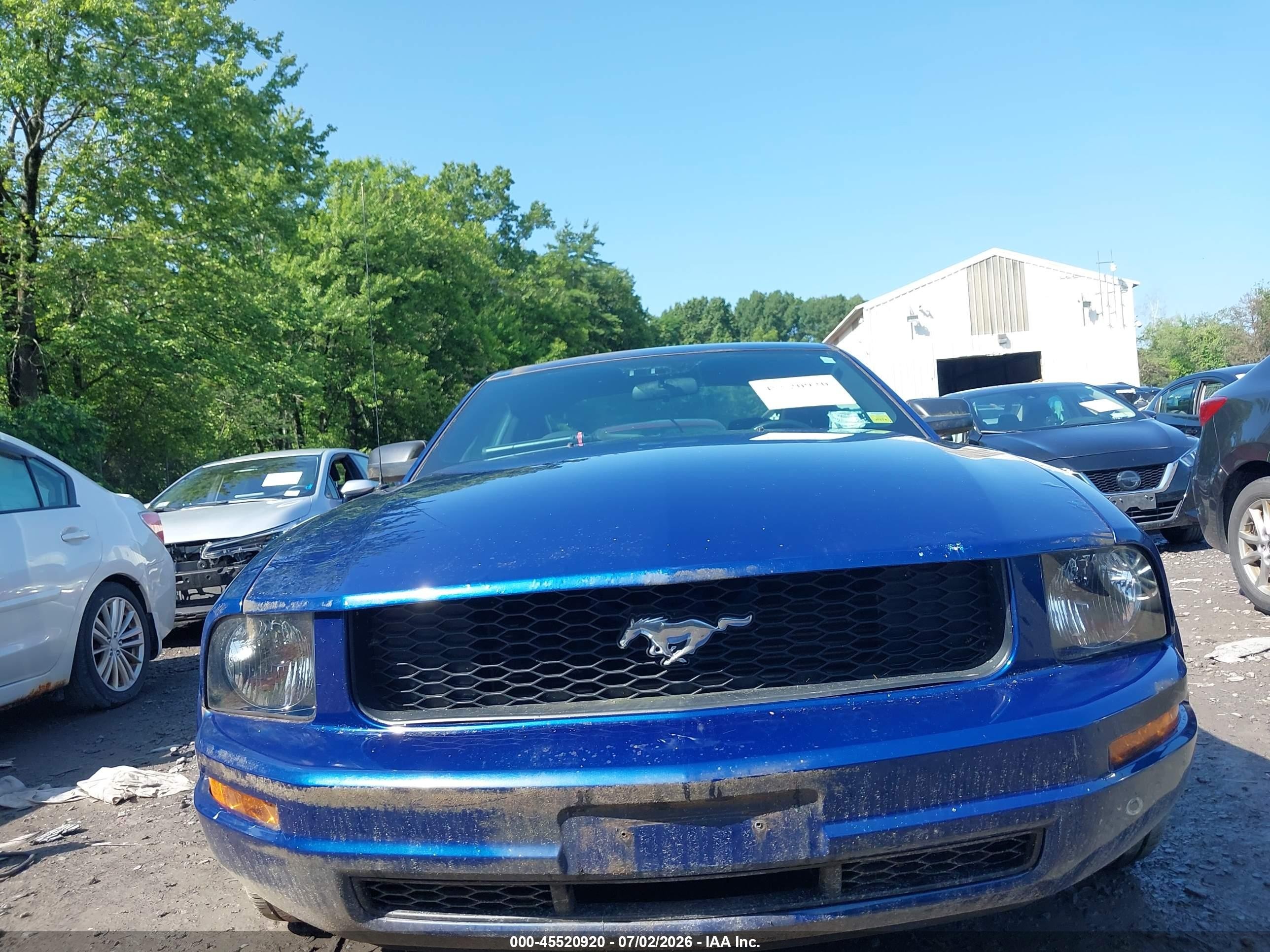 2006 Ford Mustang V6 Blue vin: 1ZVFT80N165161641