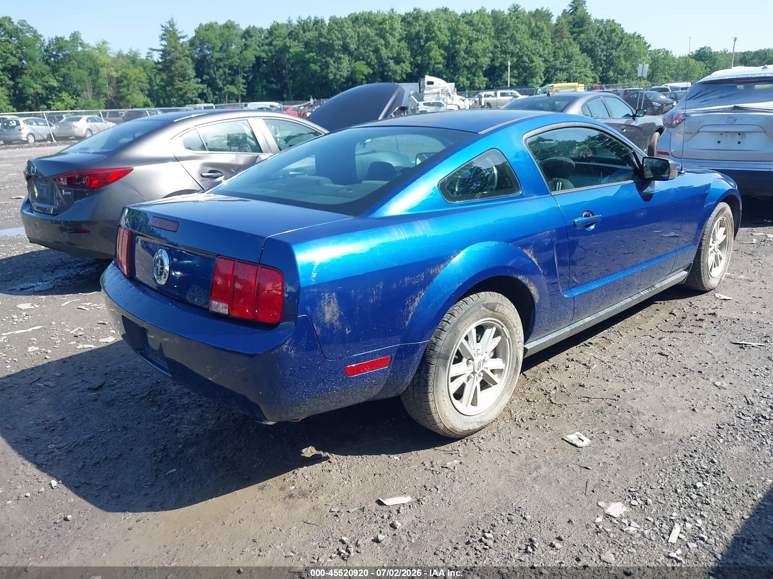 2006 Ford Mustang V6 Blue vin: 1ZVFT80N165161641
